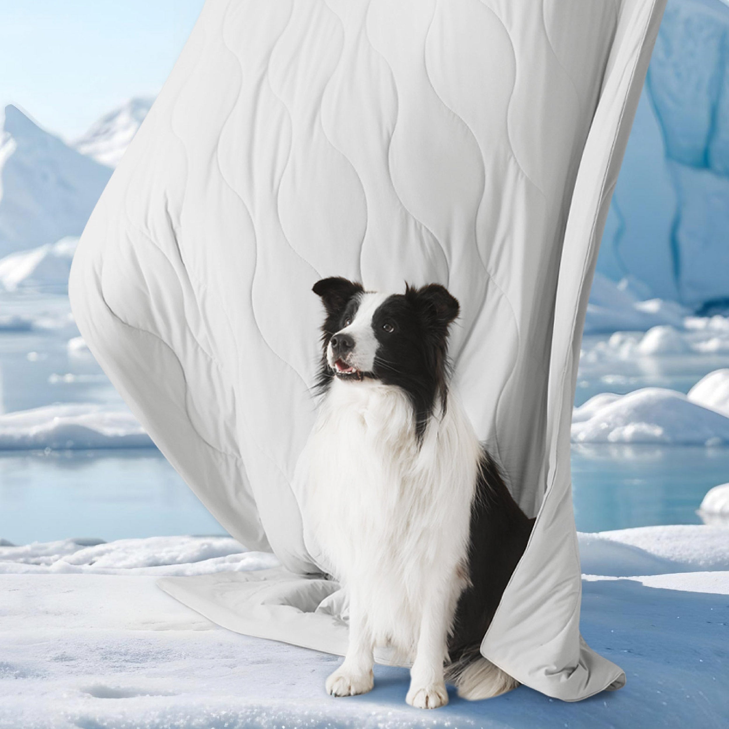 Gourd Cooling Pet Blanket