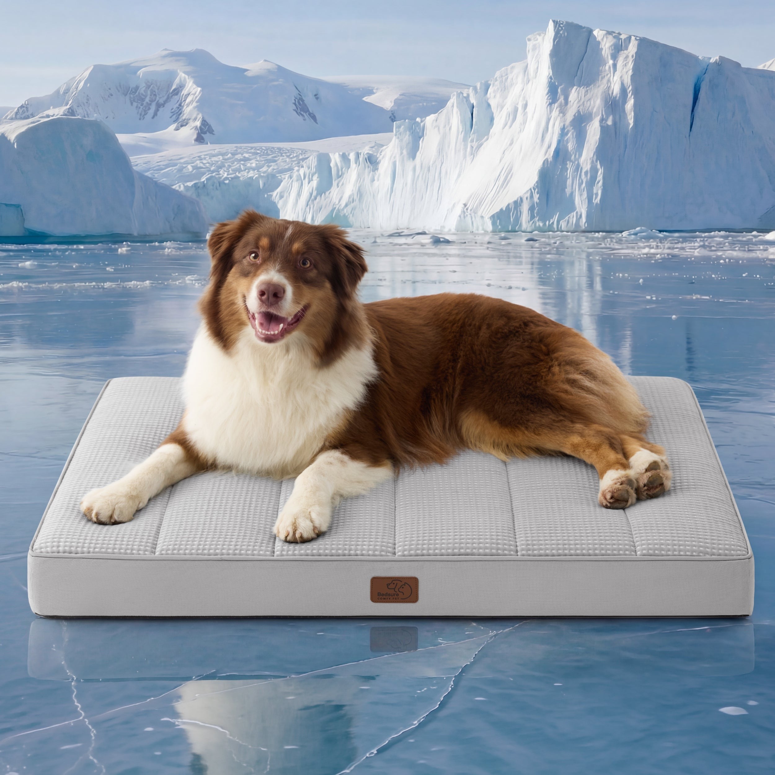 Orthopedic Cooling Dog Bed
