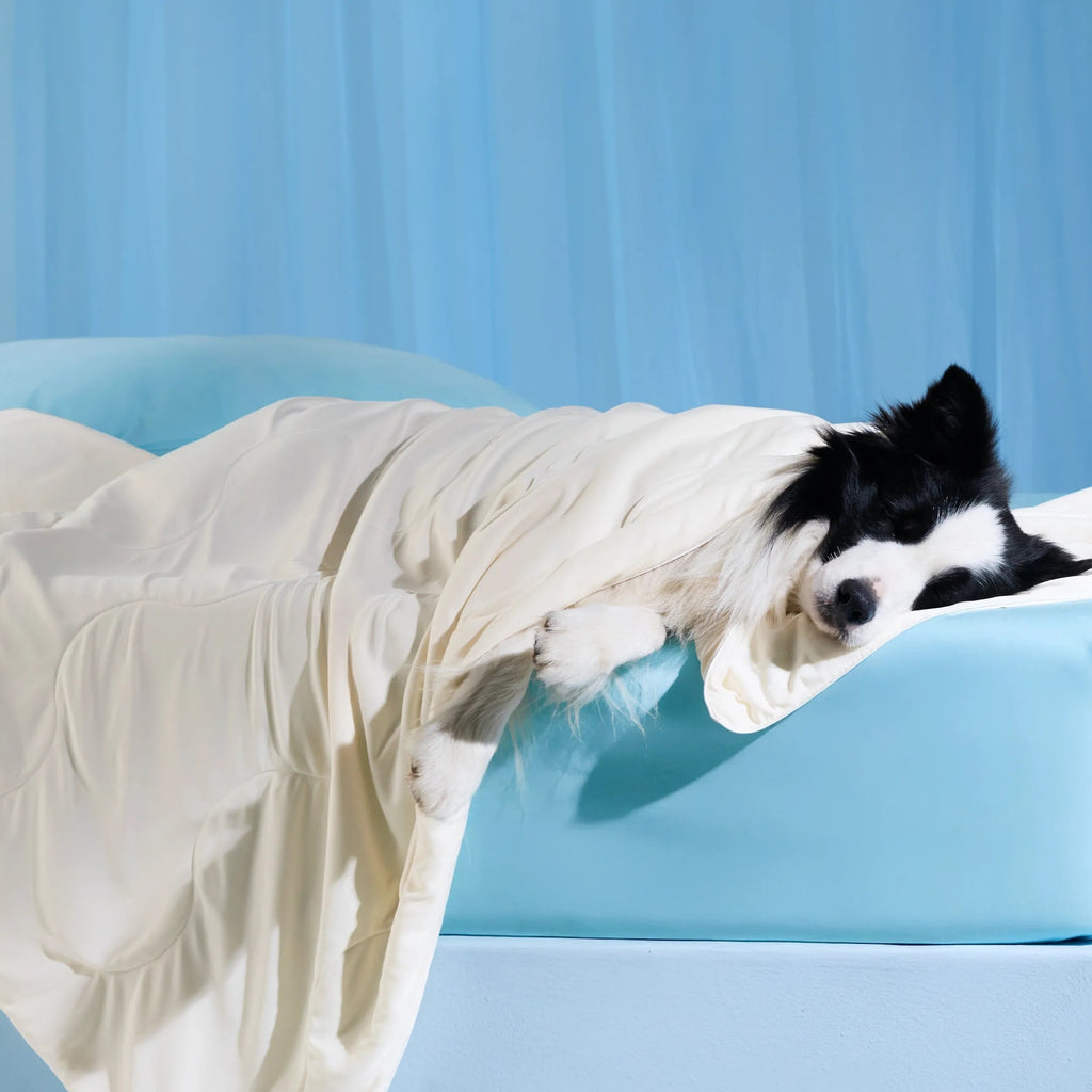 Cooling & Breathable Lightweight Pet Blanket