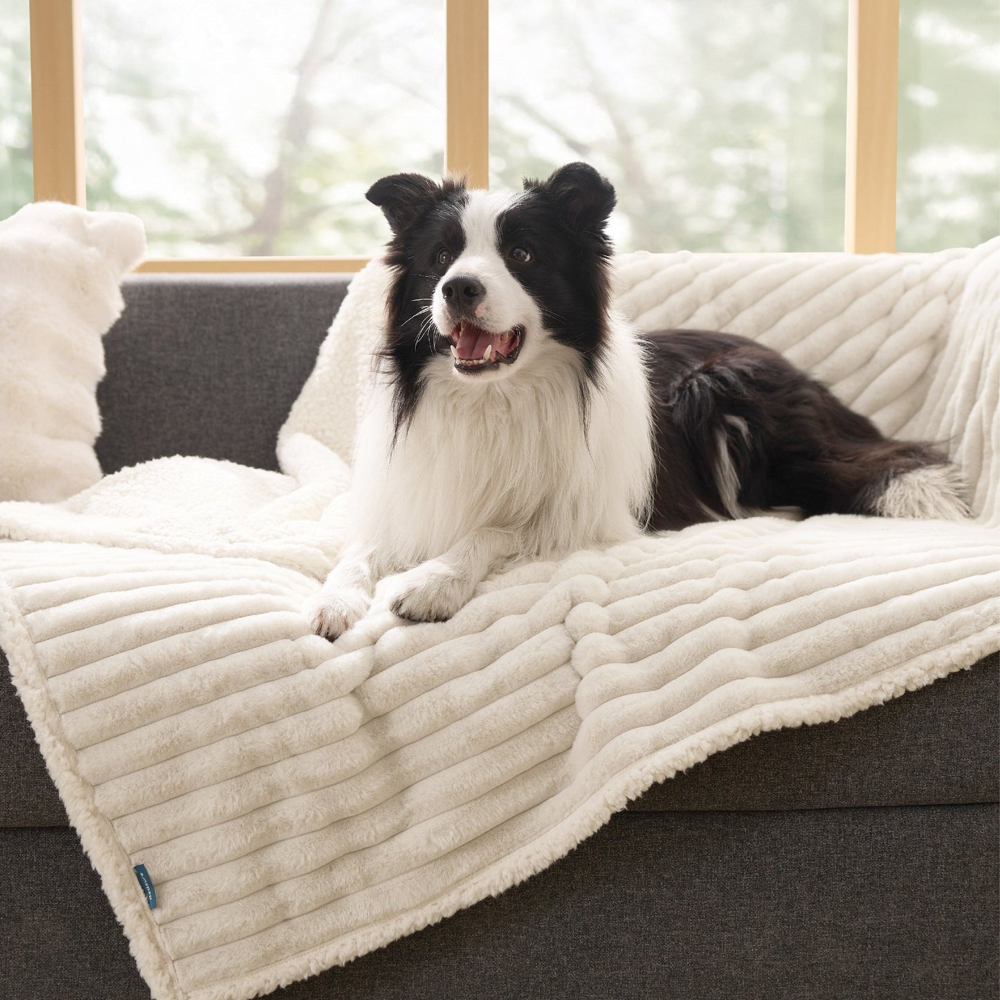 ComfyFleeceTM Waterproof Pet Blanket