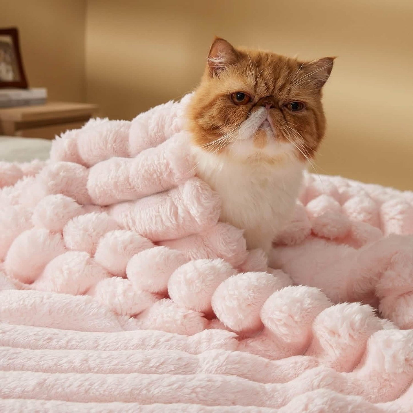 Luxplush Striped Blanket