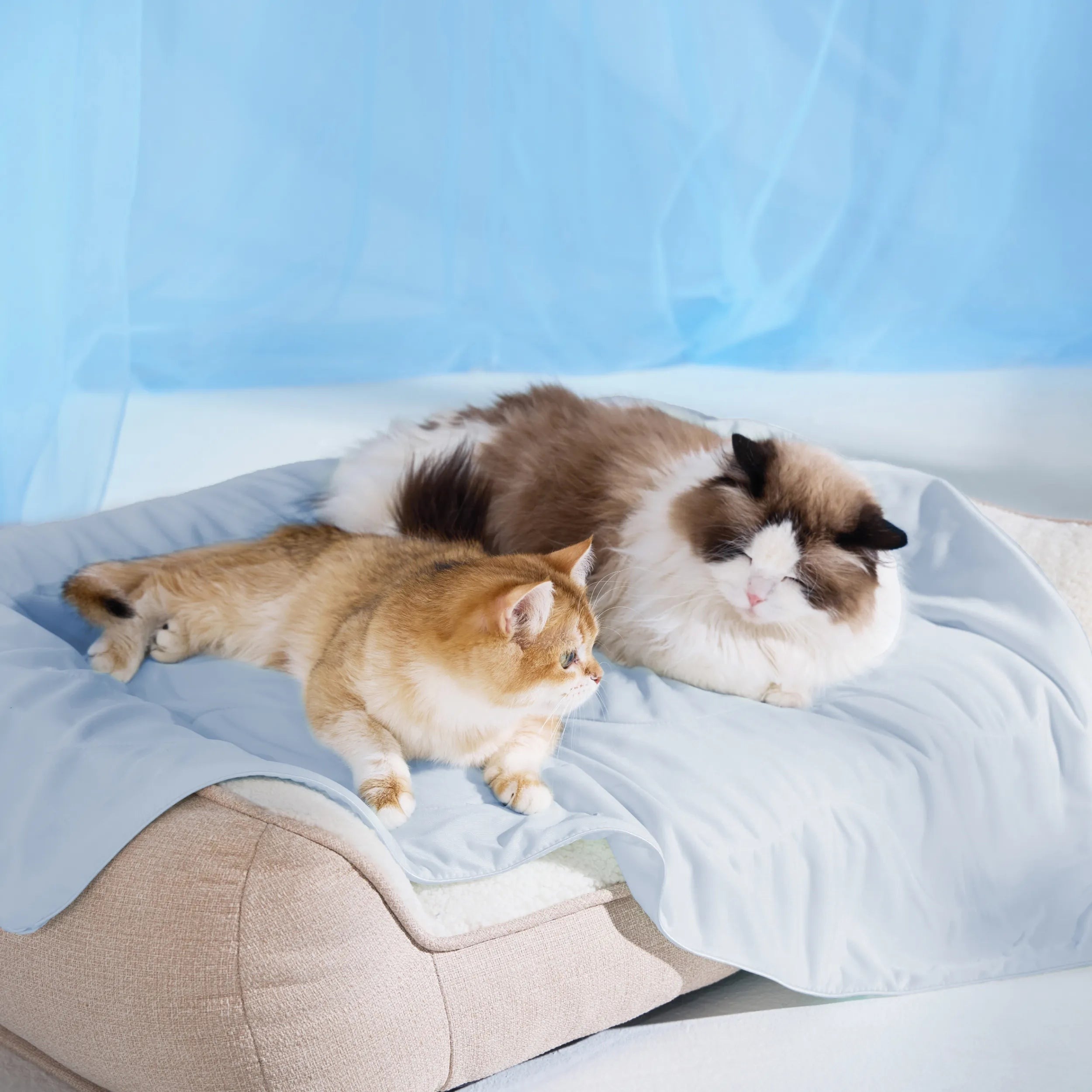 Cooling & Breathable Lightweight Pet Blanket