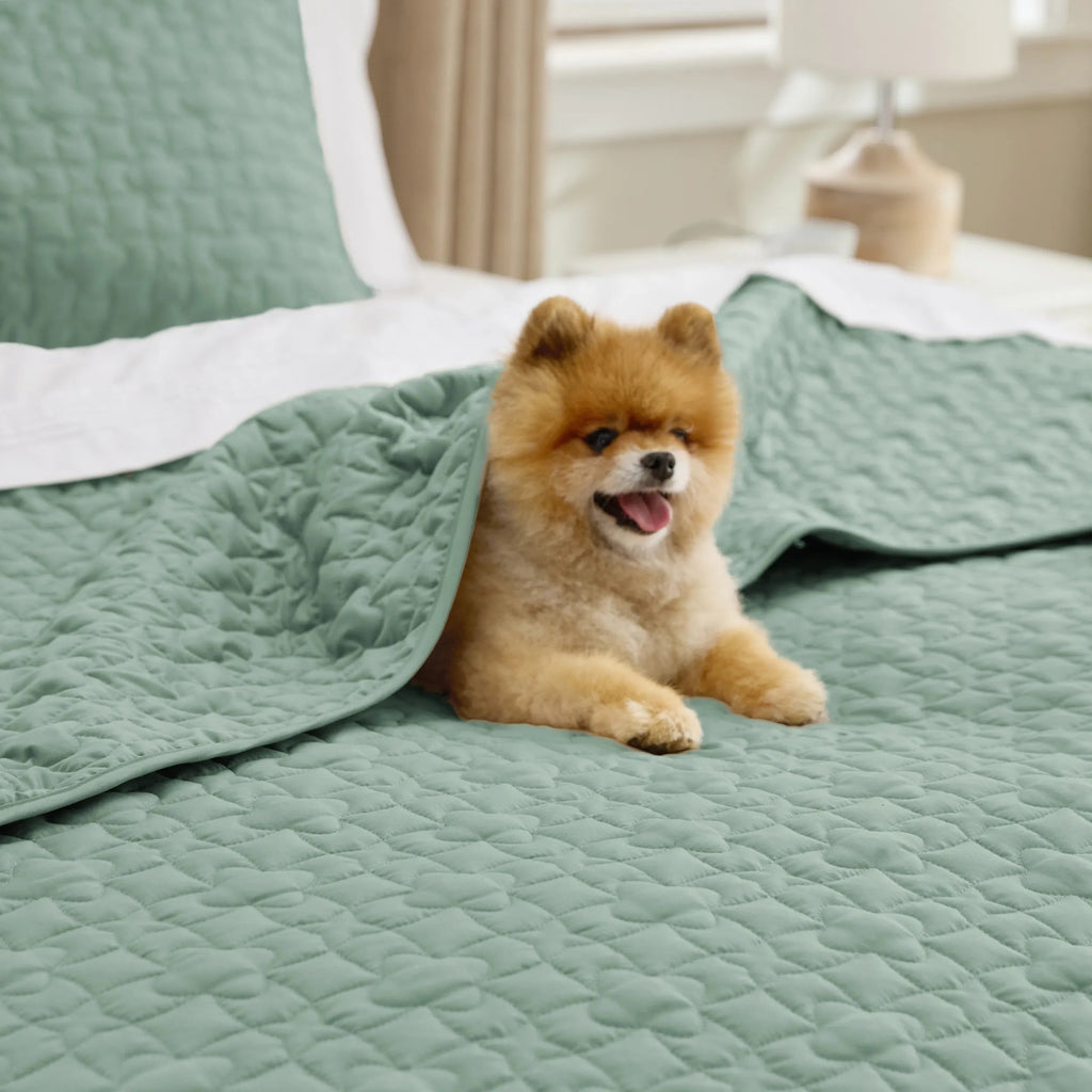 Lucky Star Quilt Set