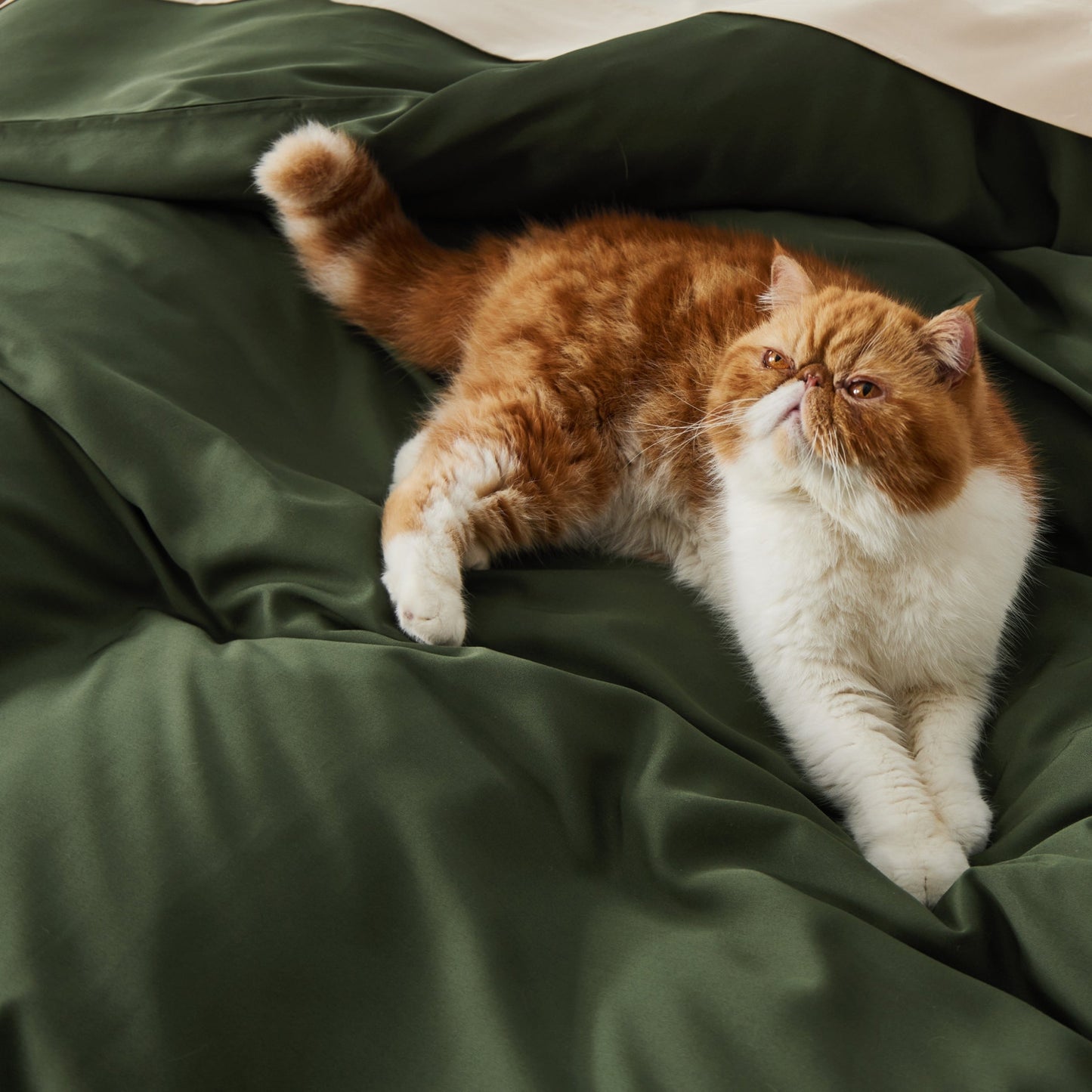PureWovenTM Rayon Derived from Bamboo Duvet Cover Set