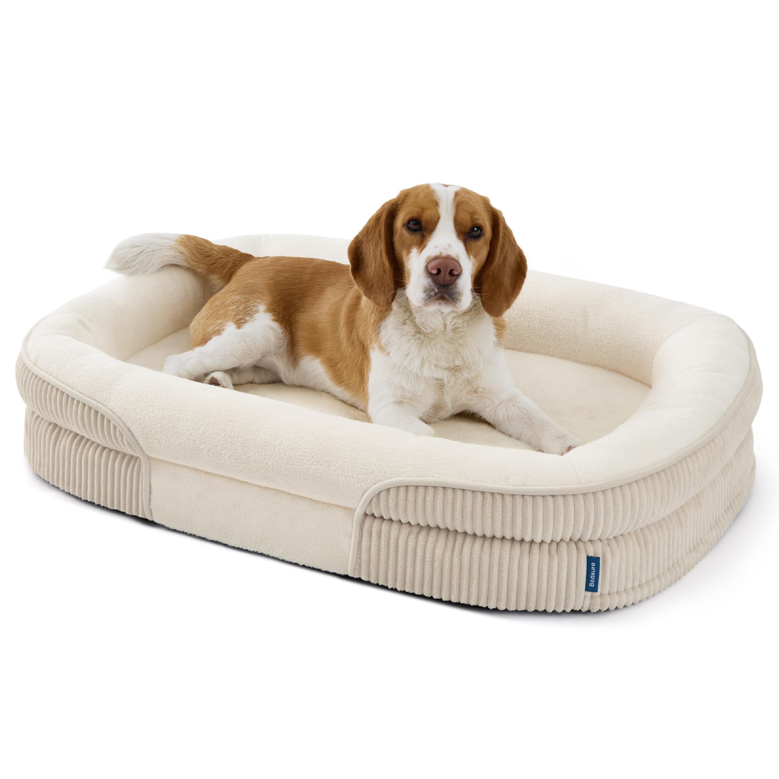 Oval Bolster Dog Bed