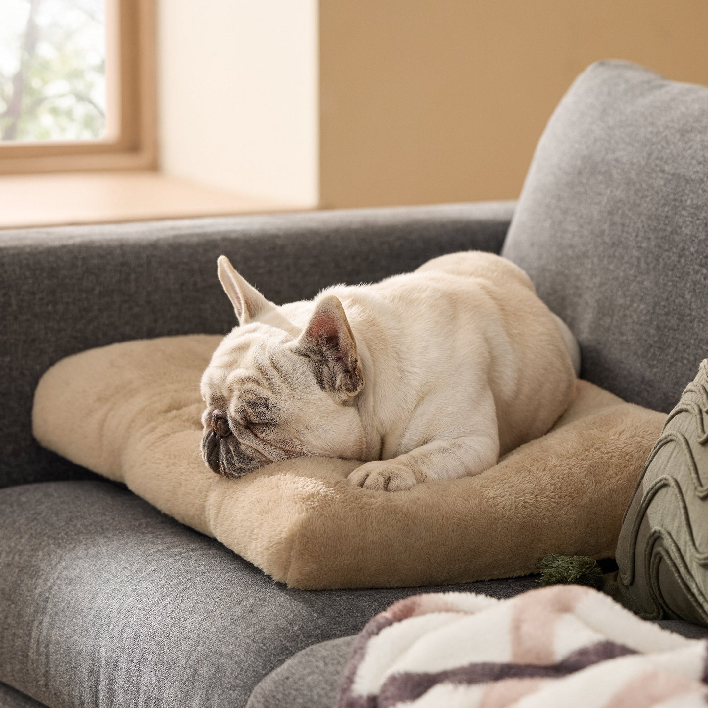 Fluffy Dog Mat