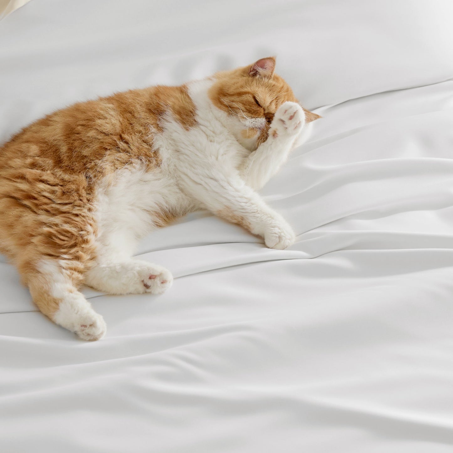 PureWovenTM Rayon Derived from Bamboo Duvet Cover Set