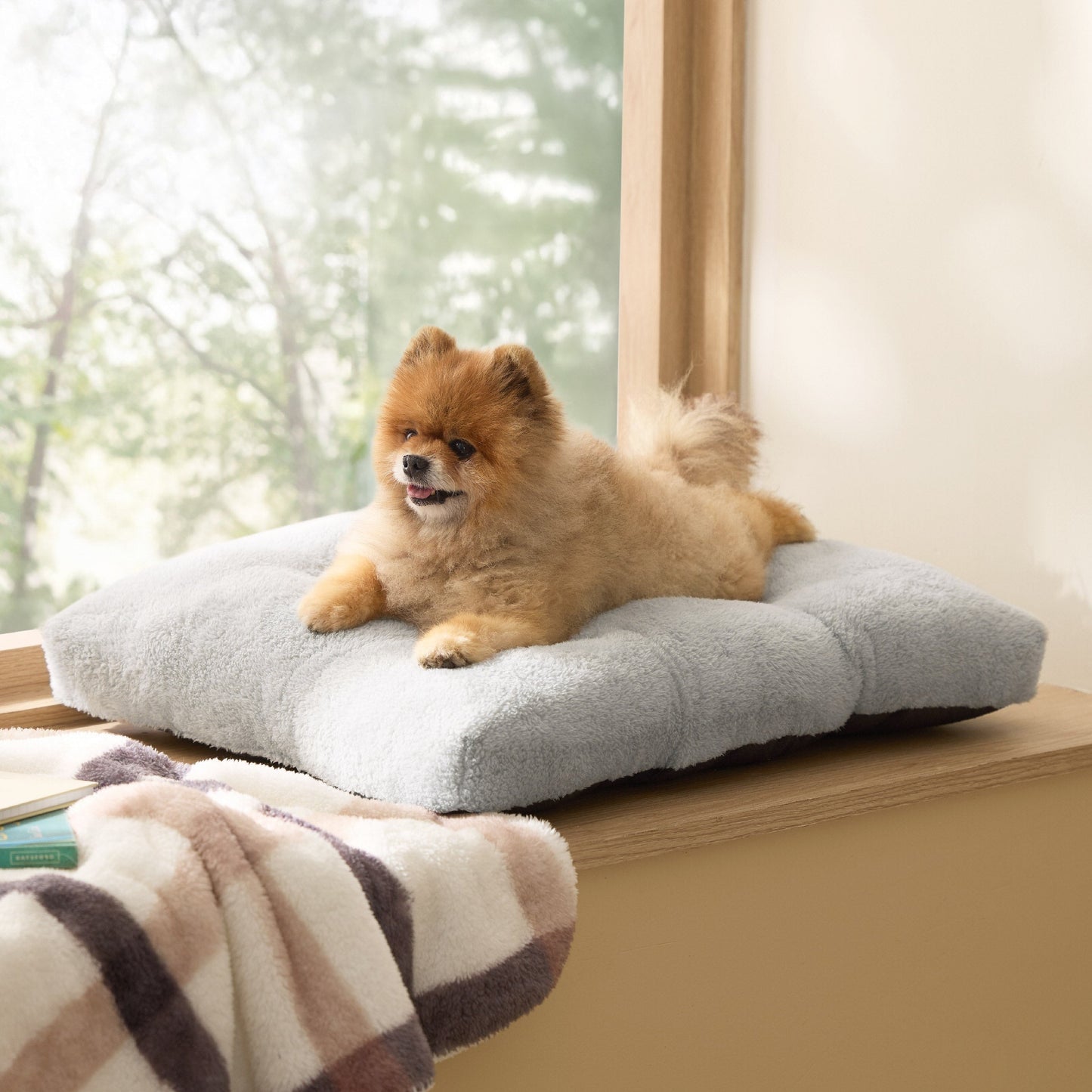 Fluffy Dog Mat
