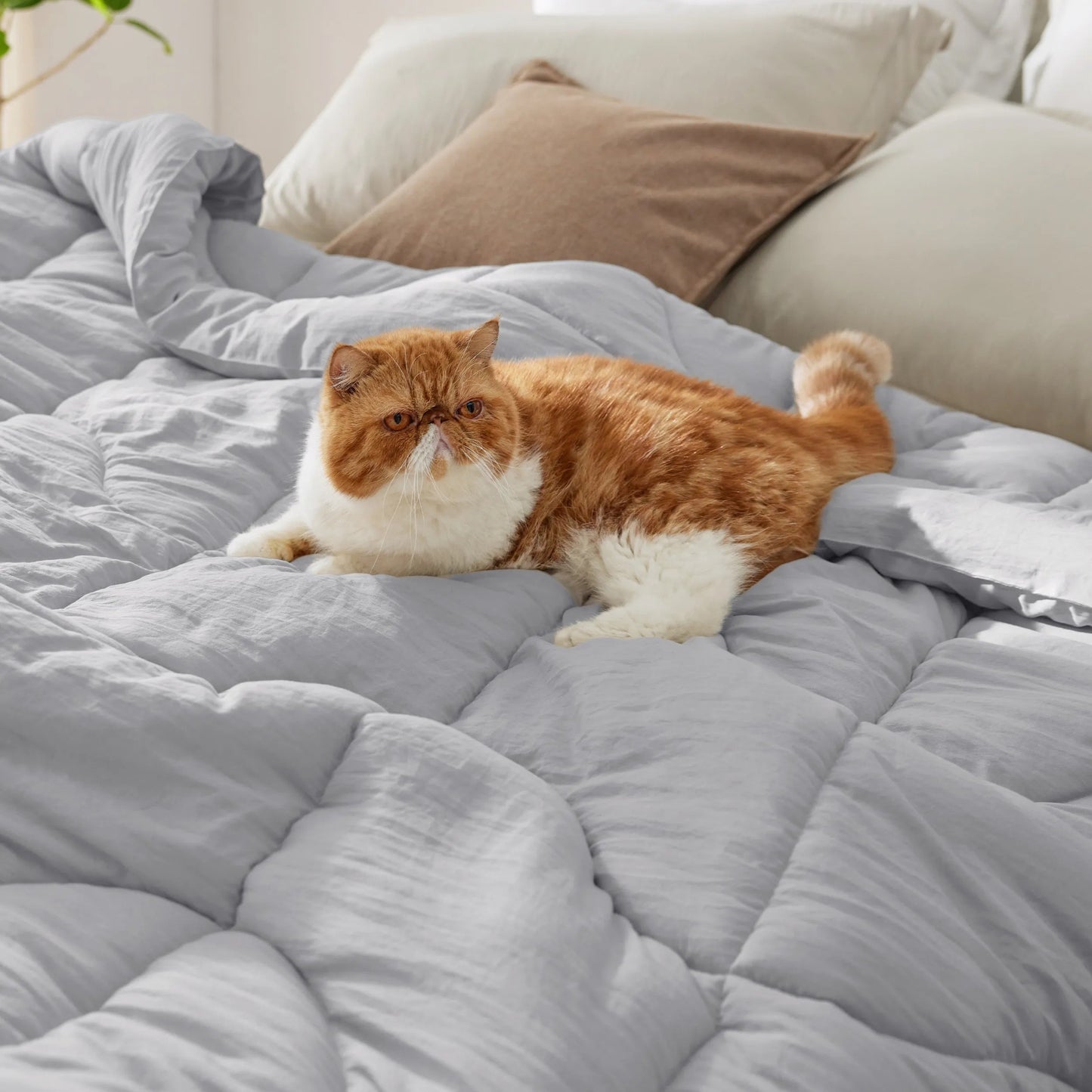 Prewashed Quilted Comforter