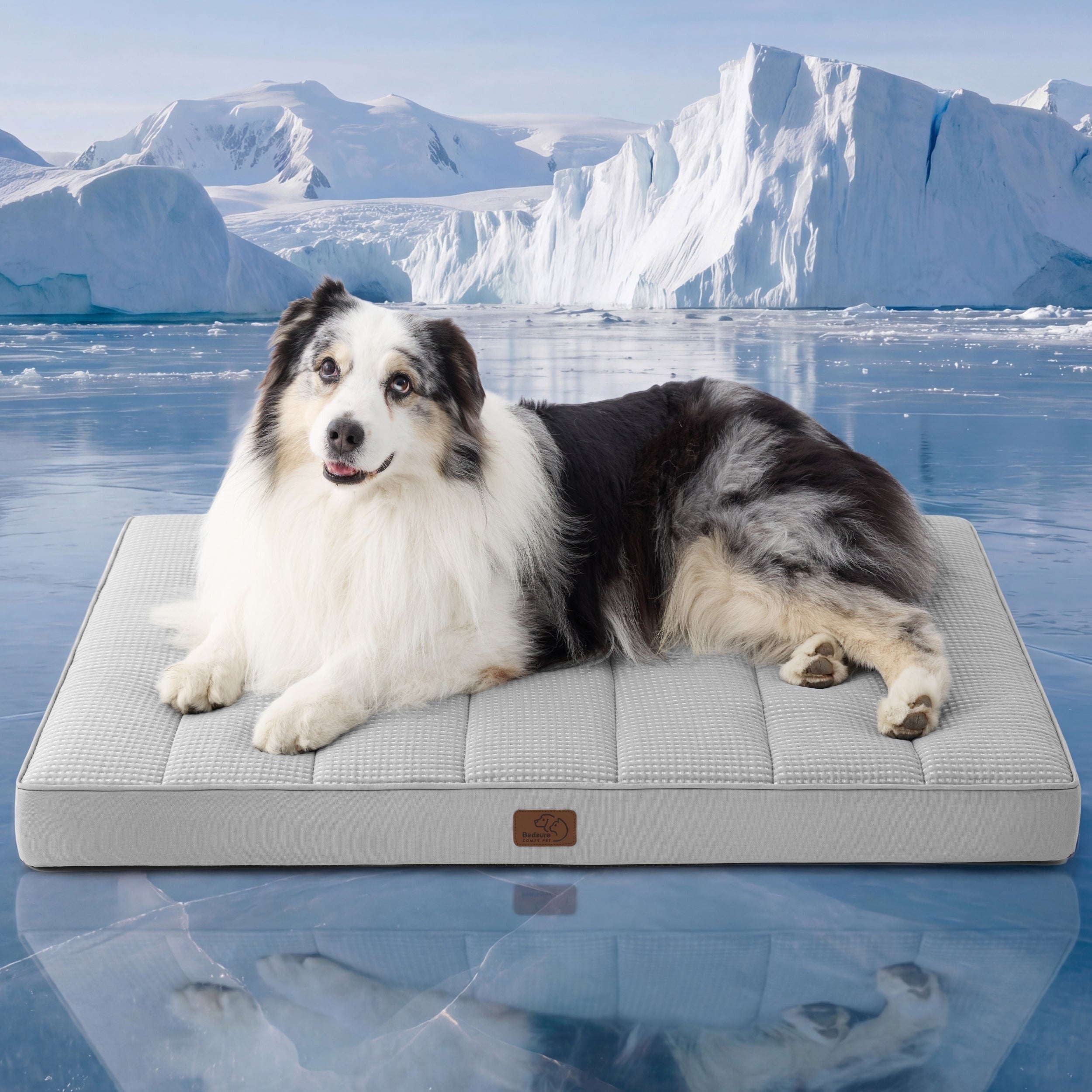 Orthopedic Cooling Dog Bed