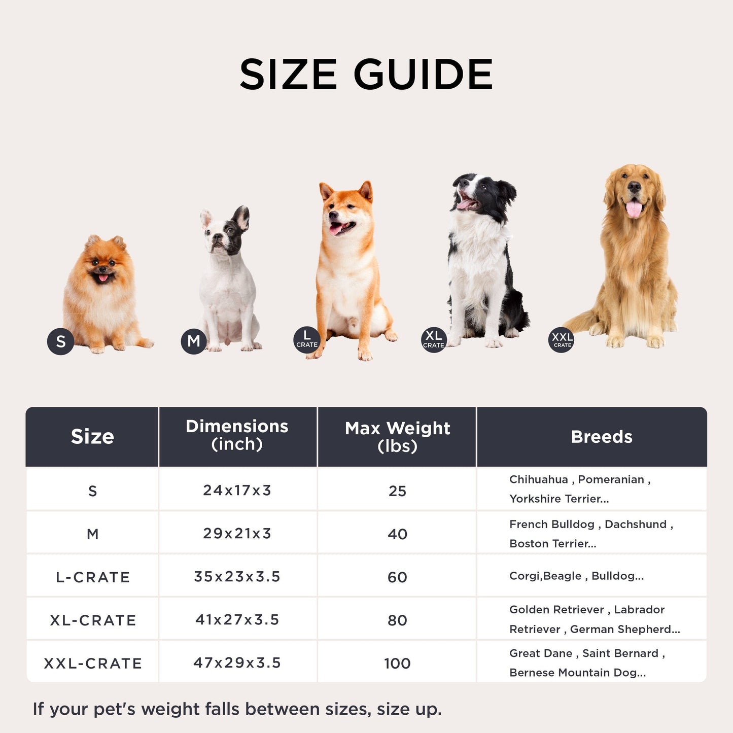 Fluffy Dog Mat