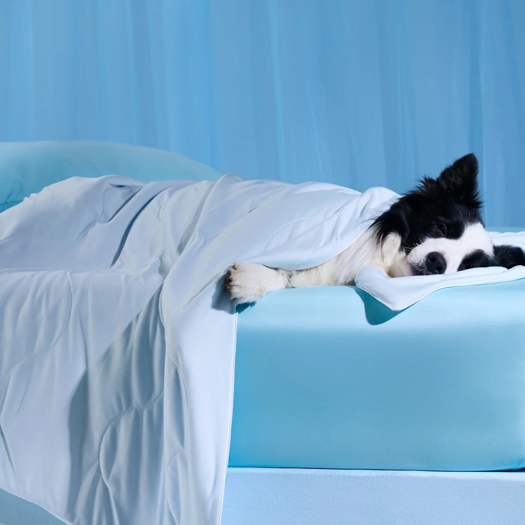Cooling & Breathable Lightweight Pet Blanket