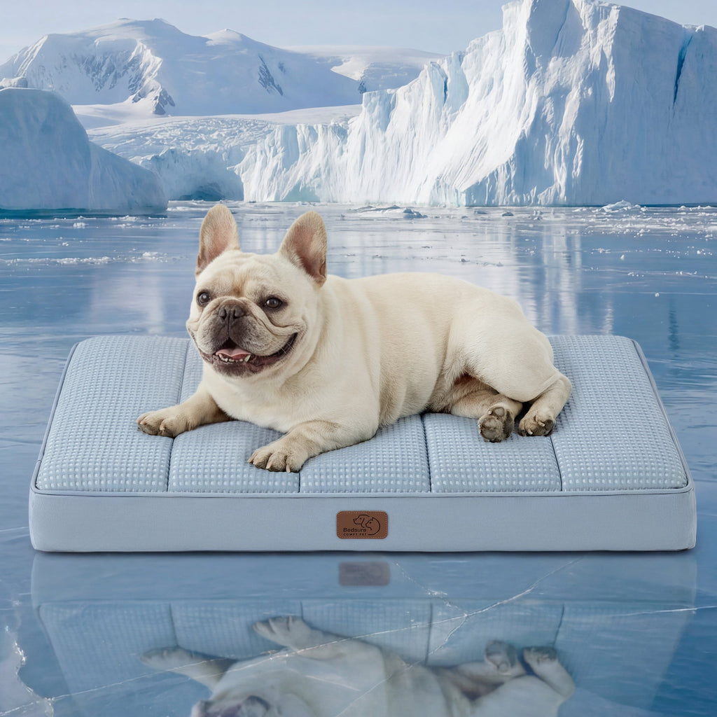 Orthopedic Cooling Dog Bed