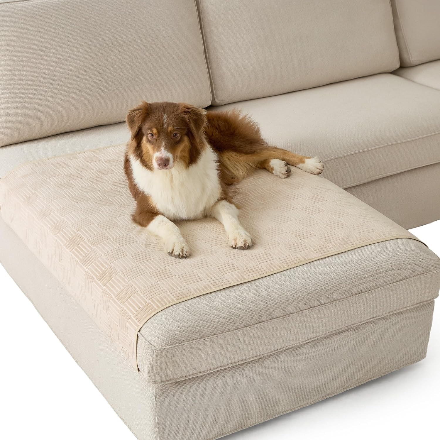 Lightweight Pet Couch Cover