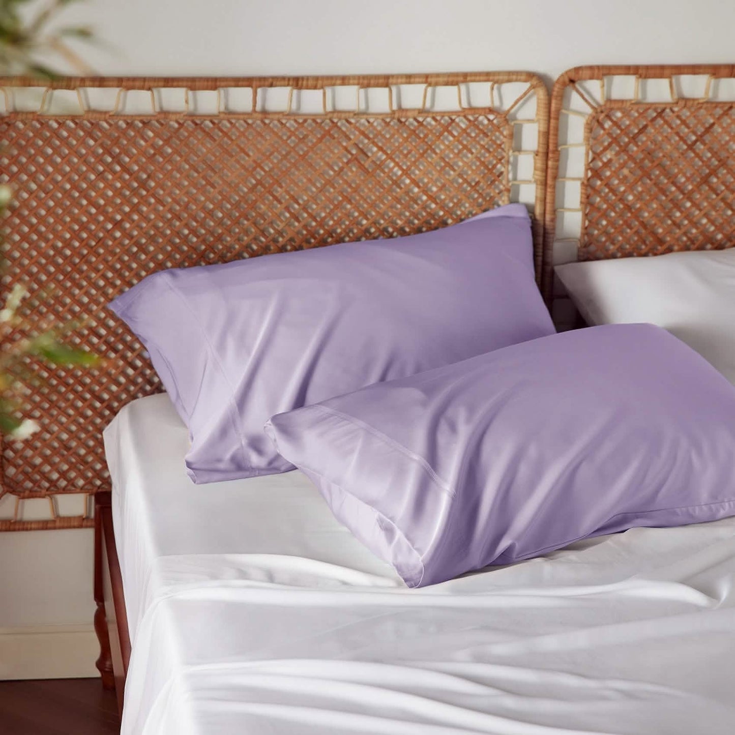 Rayon Derived From Bamboo Pillowcases