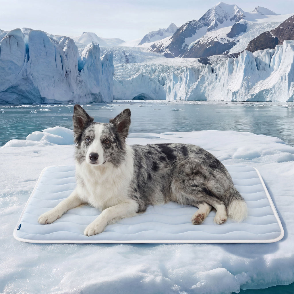 Wave Cooling Dog Mat