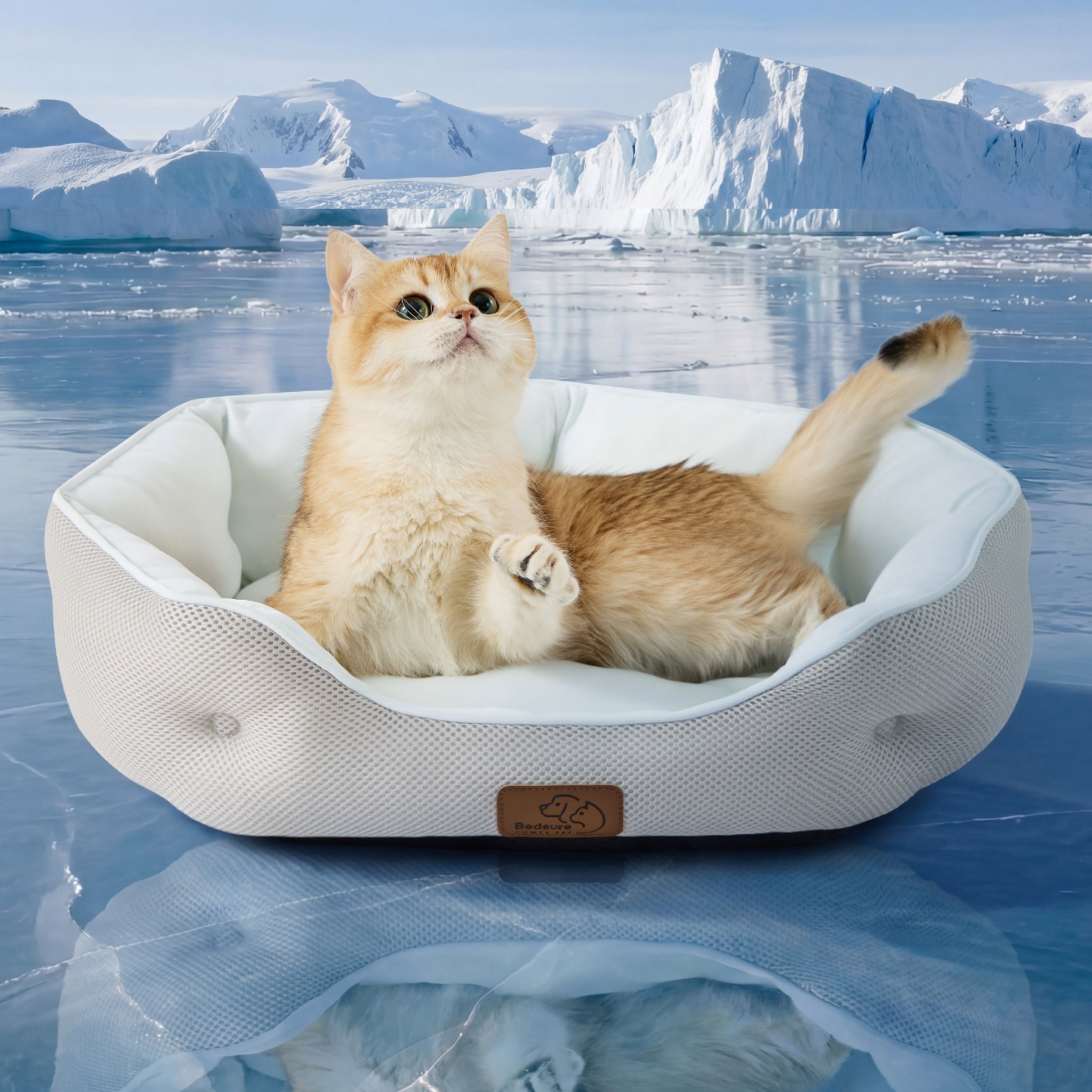 Cooling Pet Bed