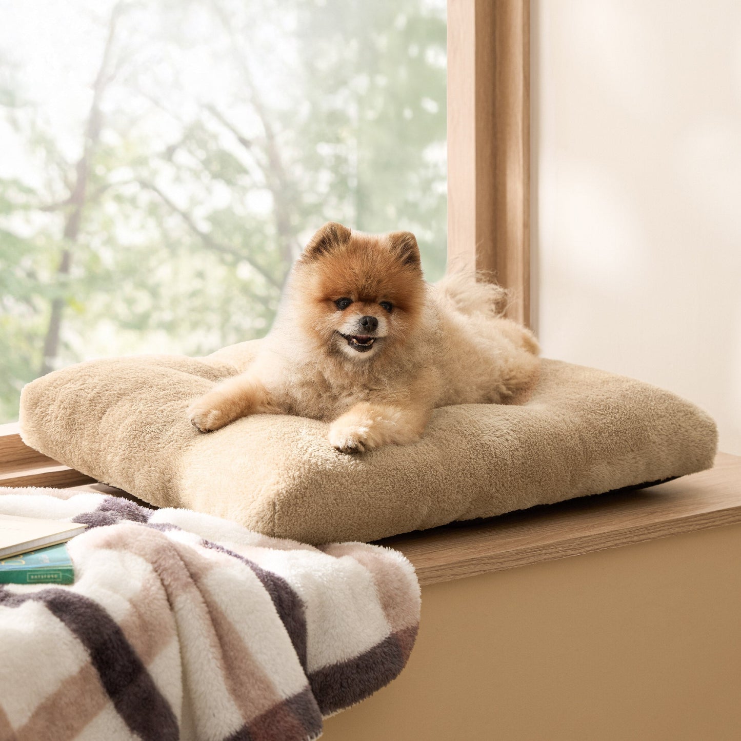 Fluffy Dog Mat