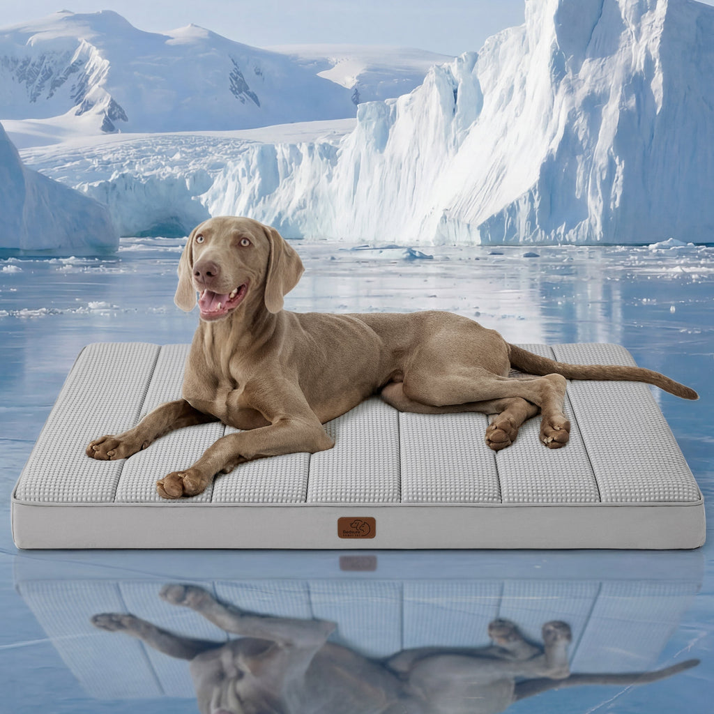 Orthopedic Cooling Dog Bed