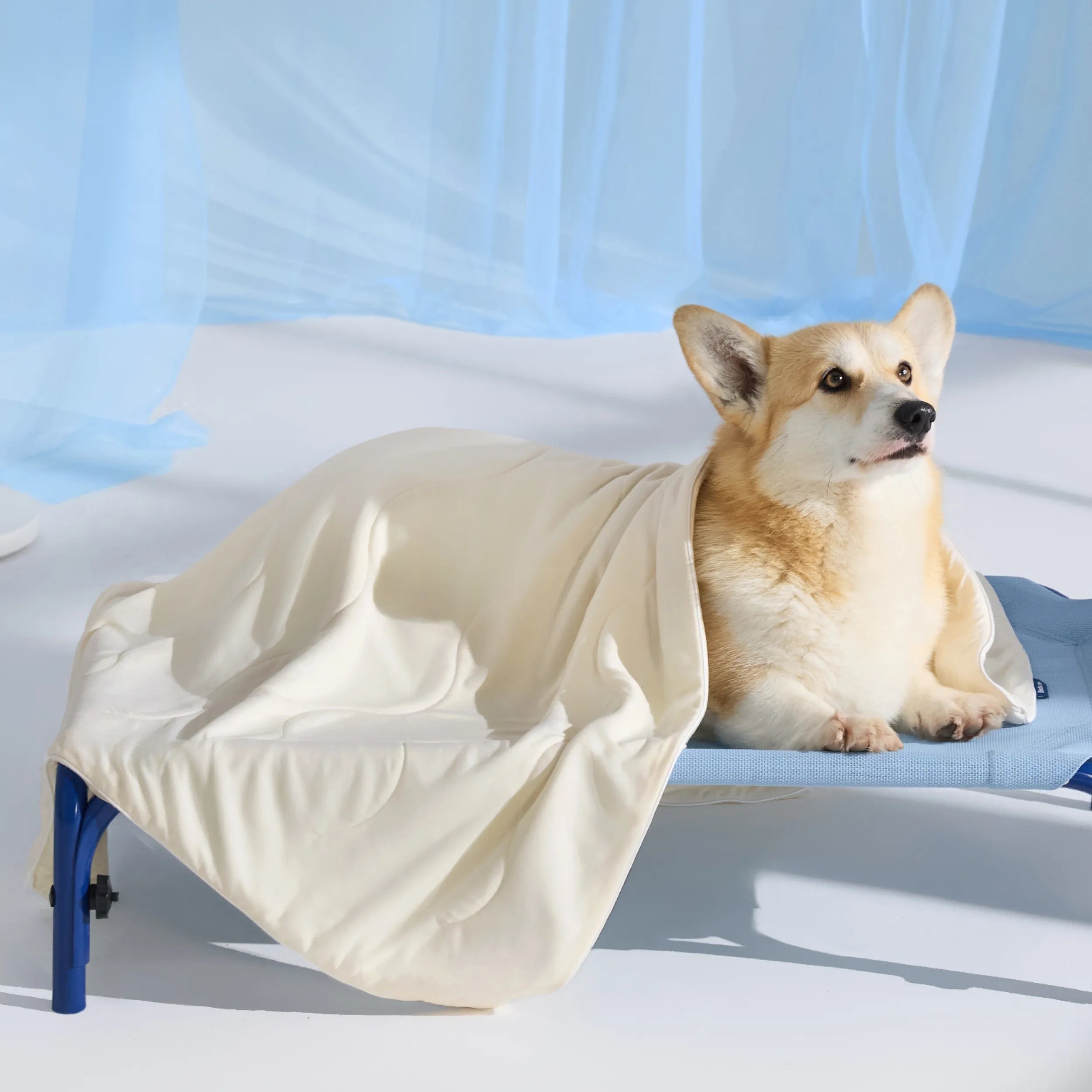 Cooling & Breathable Lightweight Pet Blanket