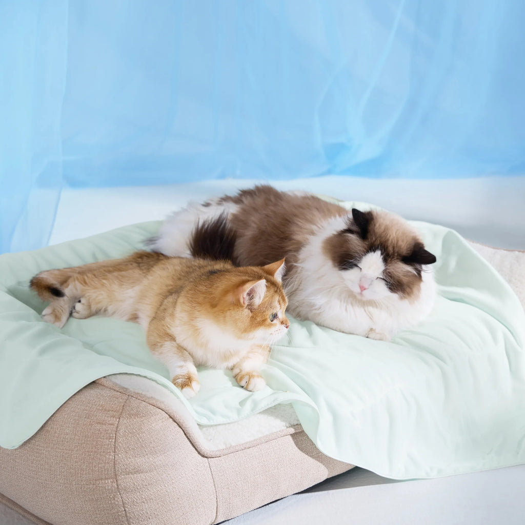 Cooling & Breathable Lightweight Pet Blanket