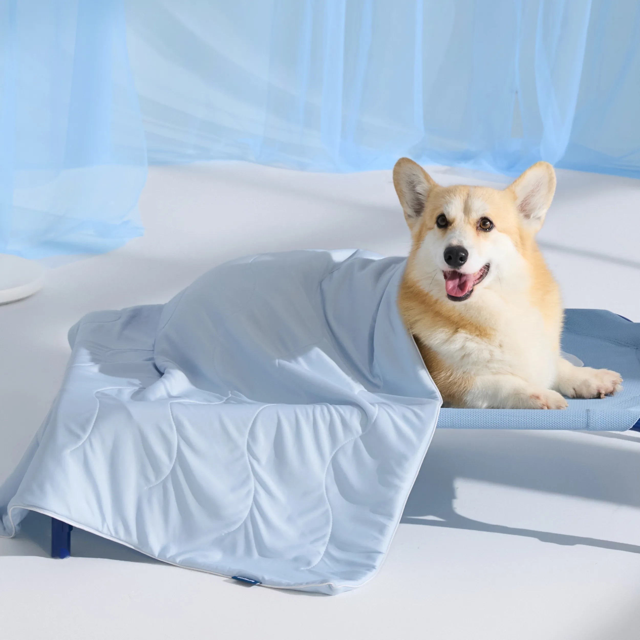 Cooling & Breathable Lightweight Pet Blanket