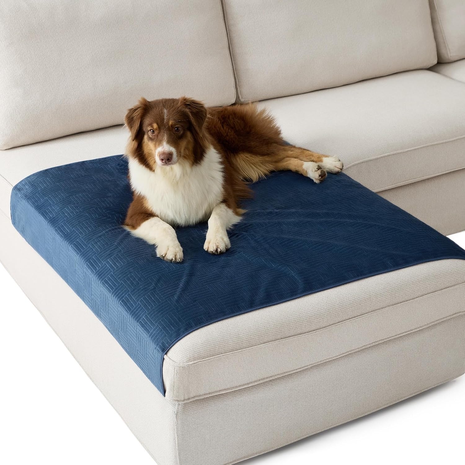 Lightweight Pet Couch Cover