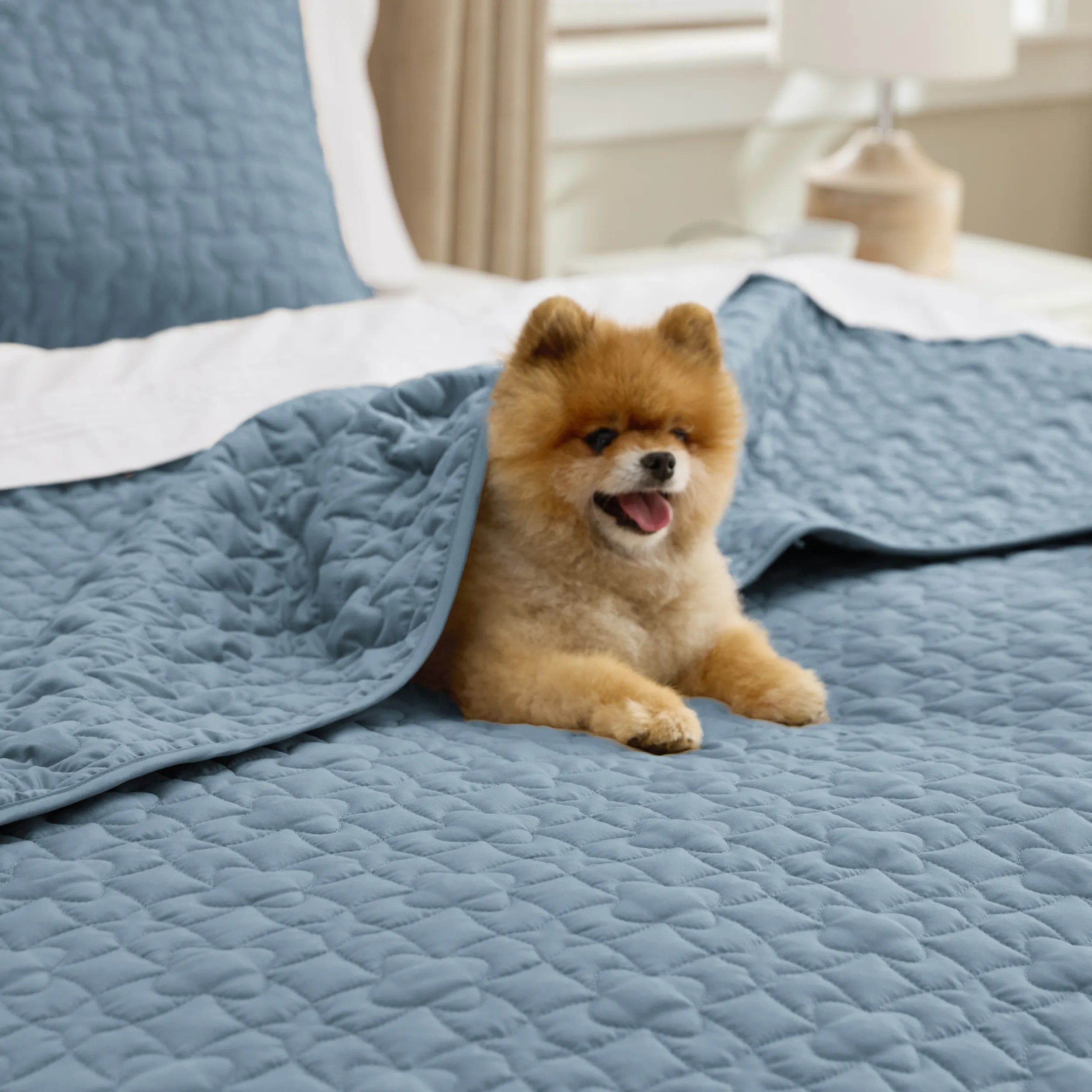 Lucky Star Quilt Set