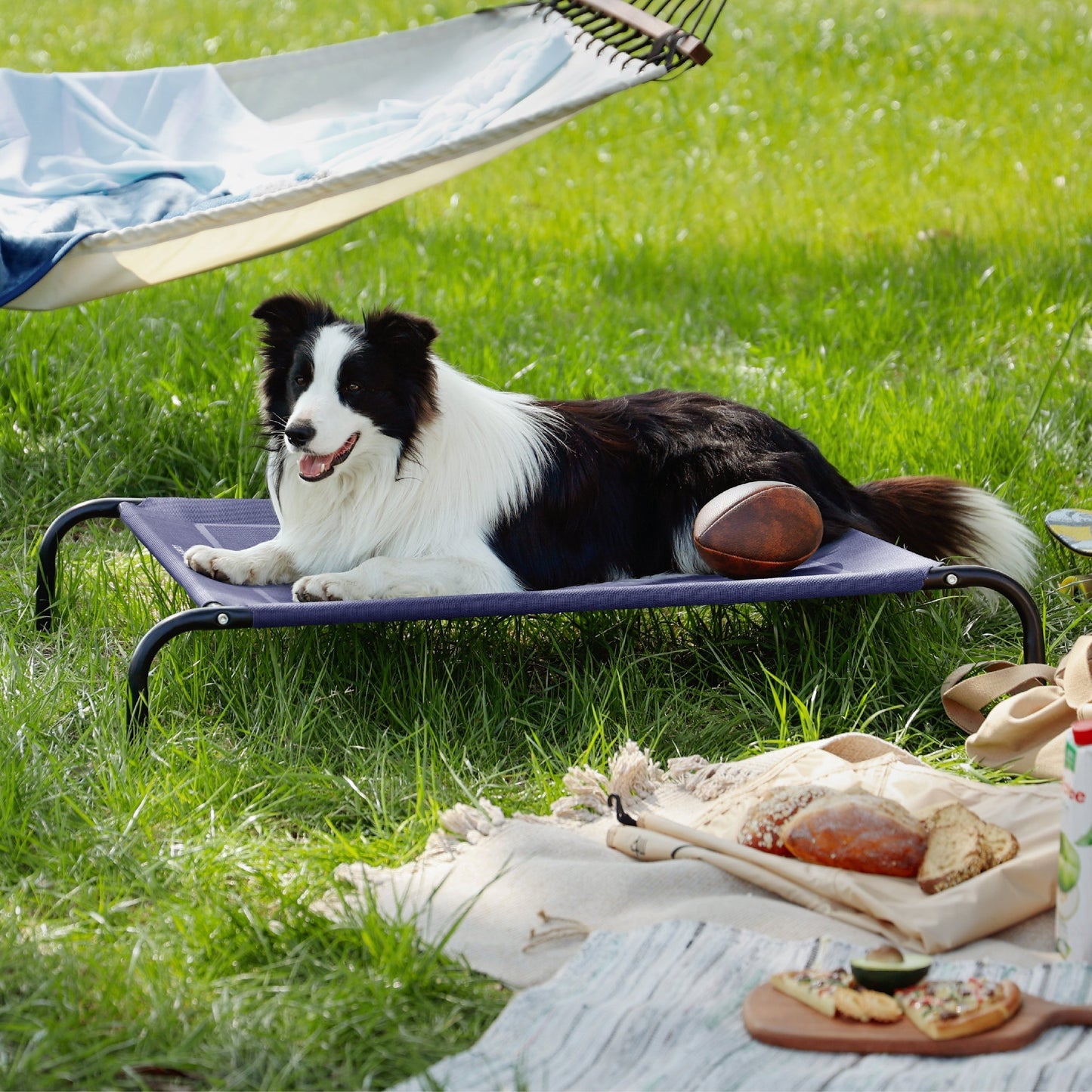 Elevated Dog Bed