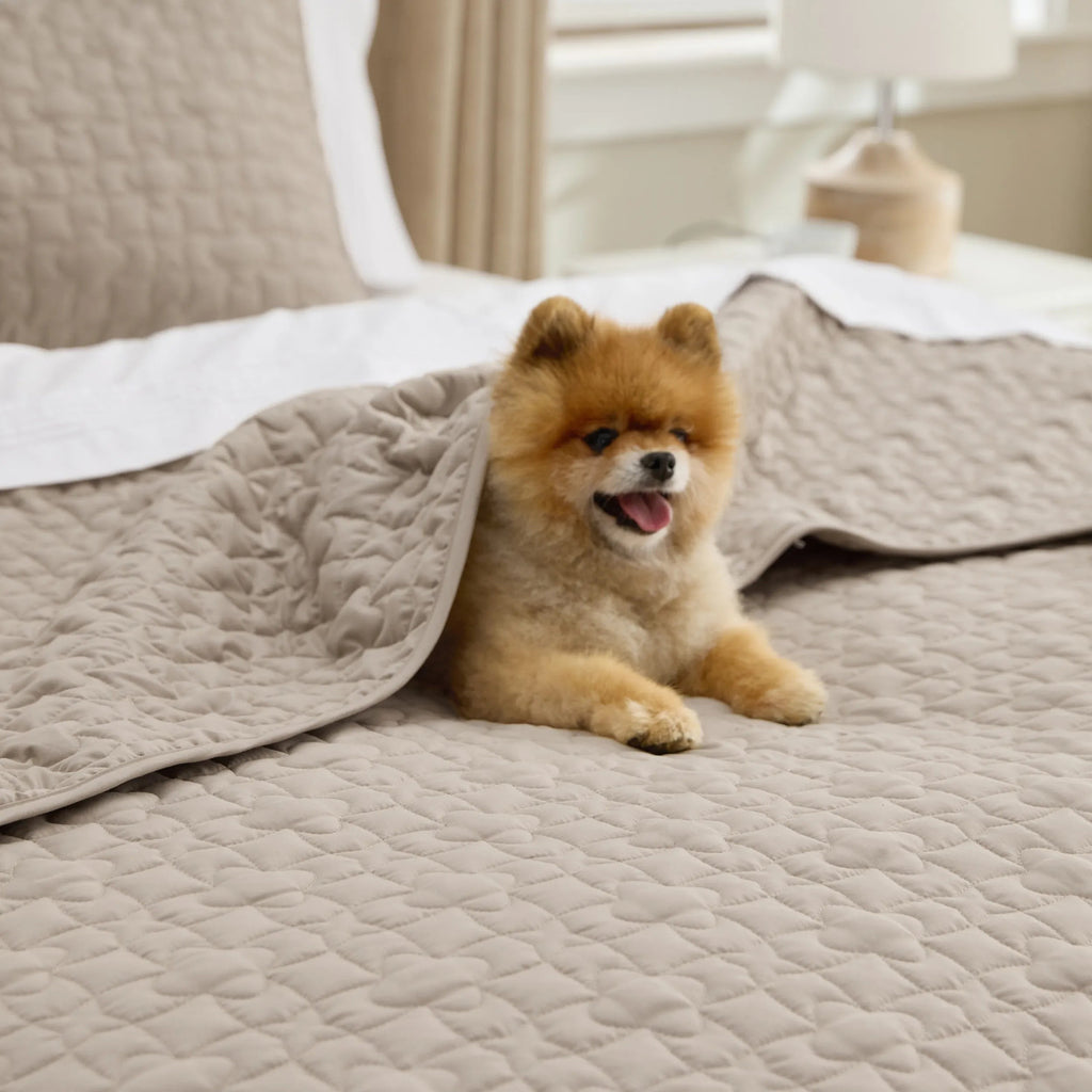 Lucky Star Quilt Set