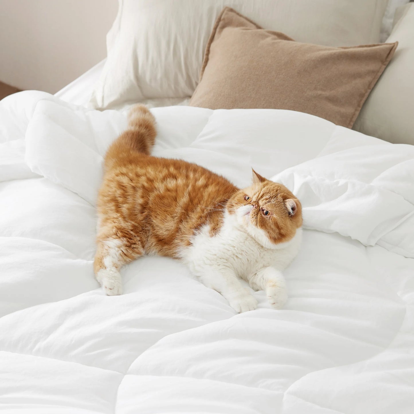 Prewashed Quilted Comforter