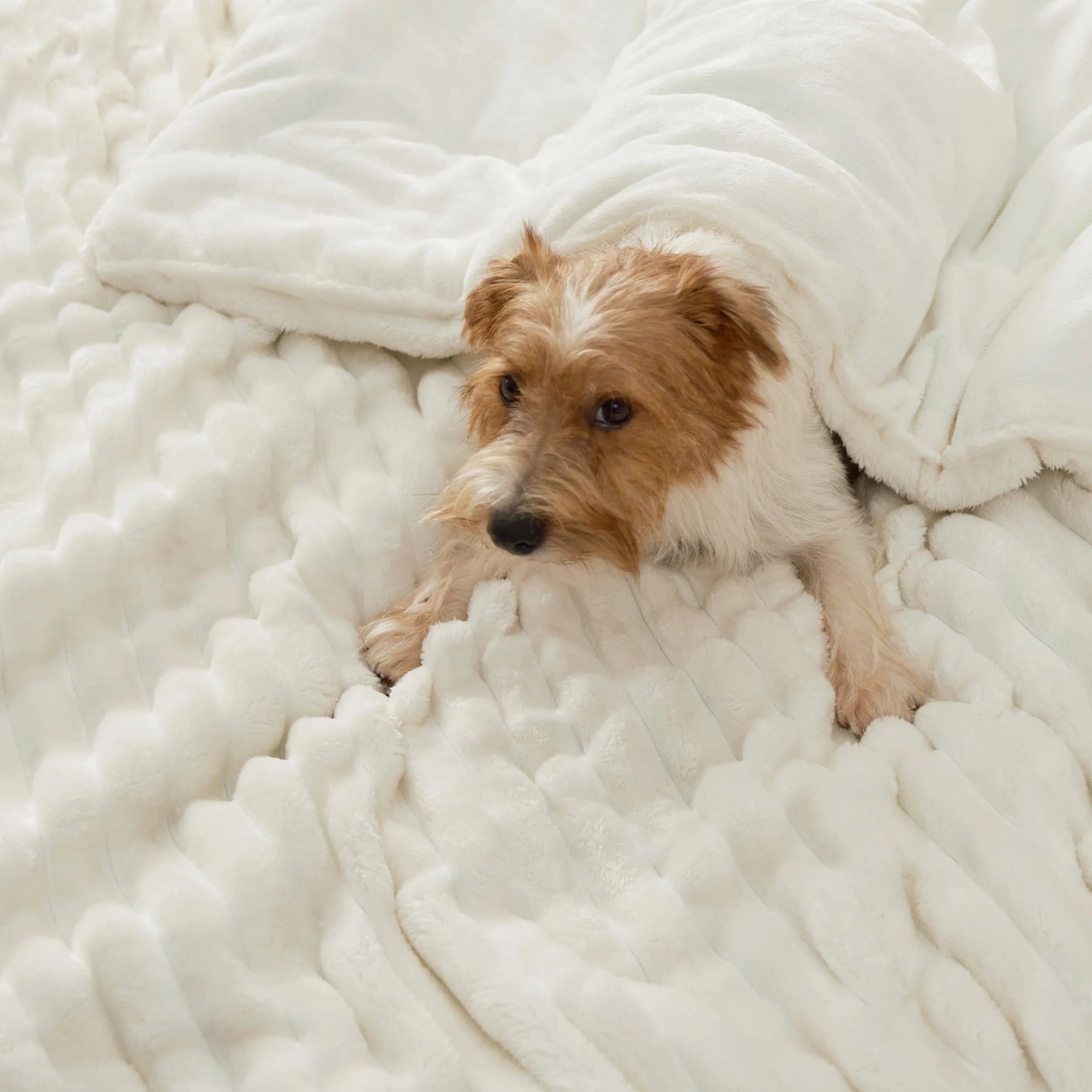 Striped Flannel Comforter Set