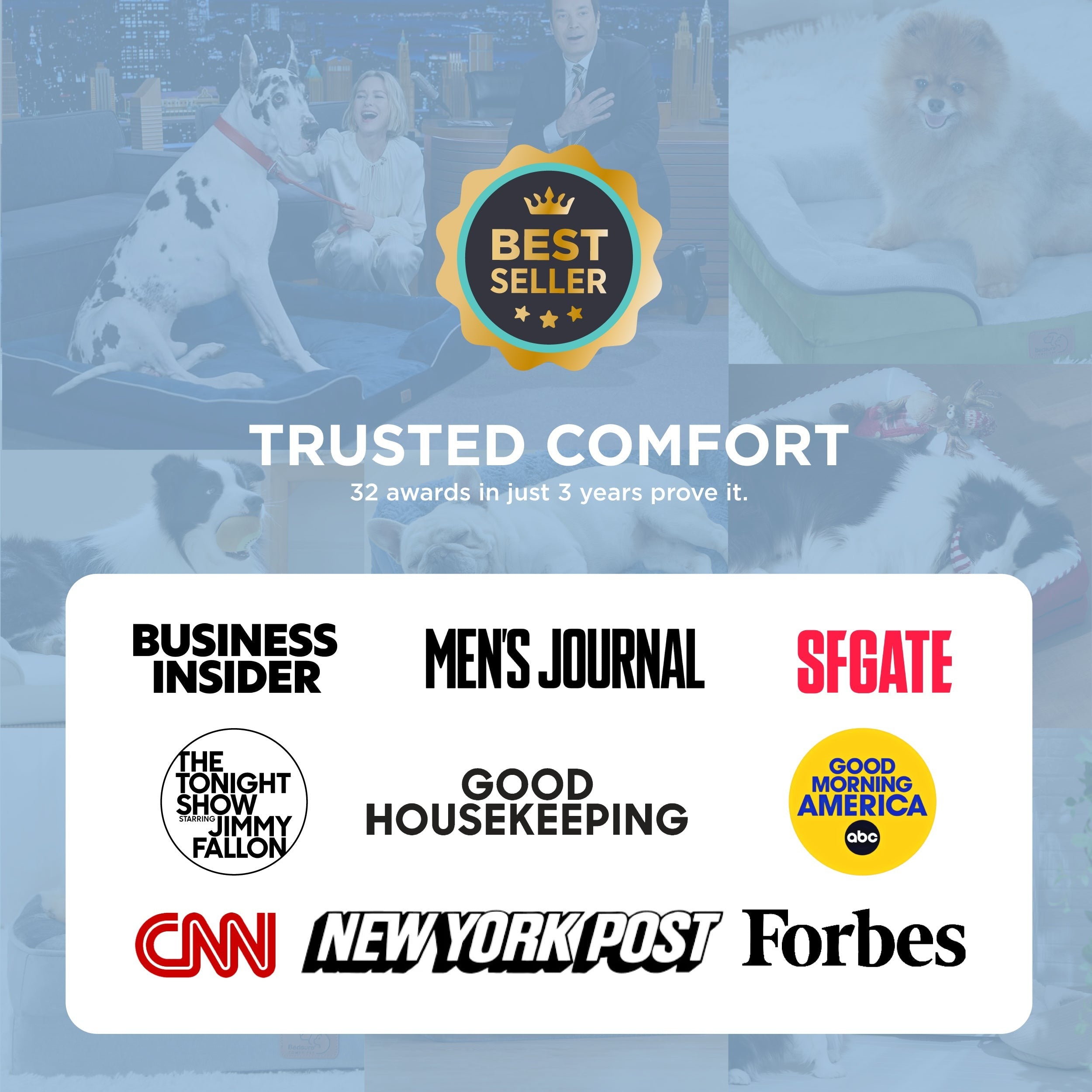 Orthopedic Cooling Pet Sofa