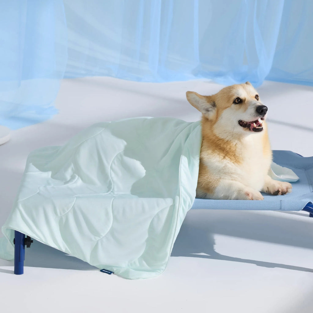 Cooling & Breathable Lightweight Pet Blanket