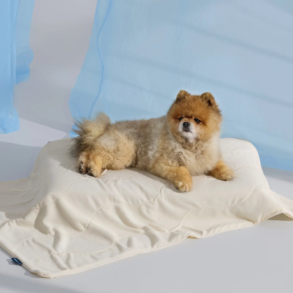 Cooling & Breathable Lightweight Pet Blanket