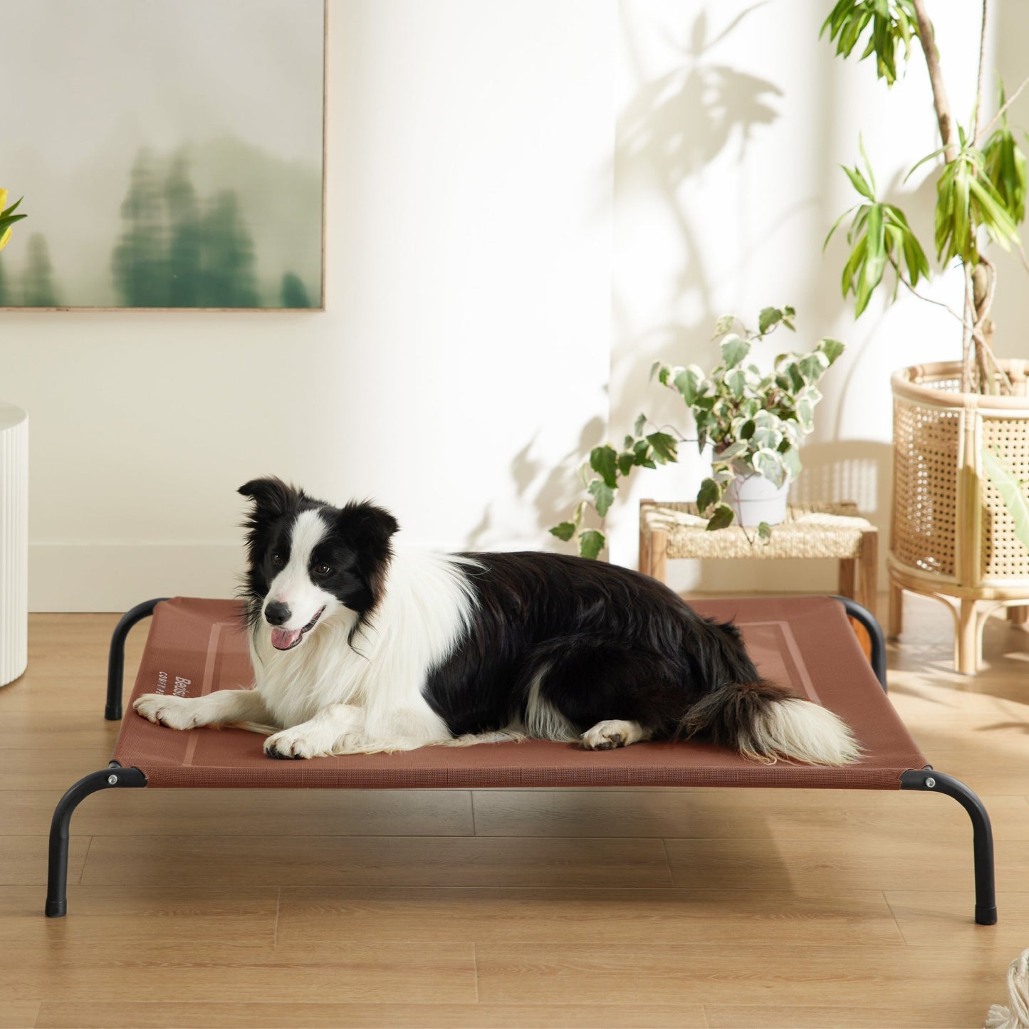 Elevated Dog Bed