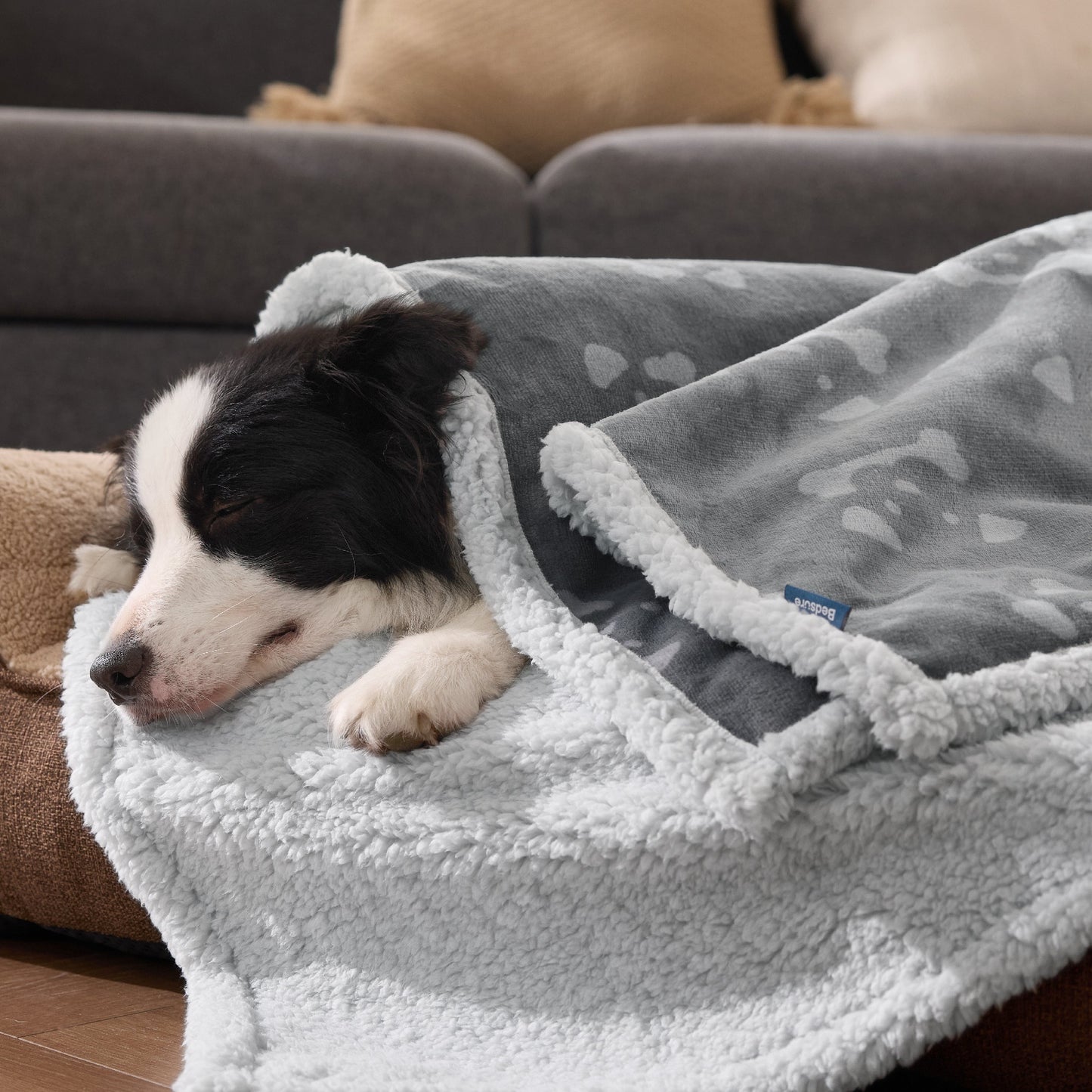 Reversible Waterproof Sherapa Blanket