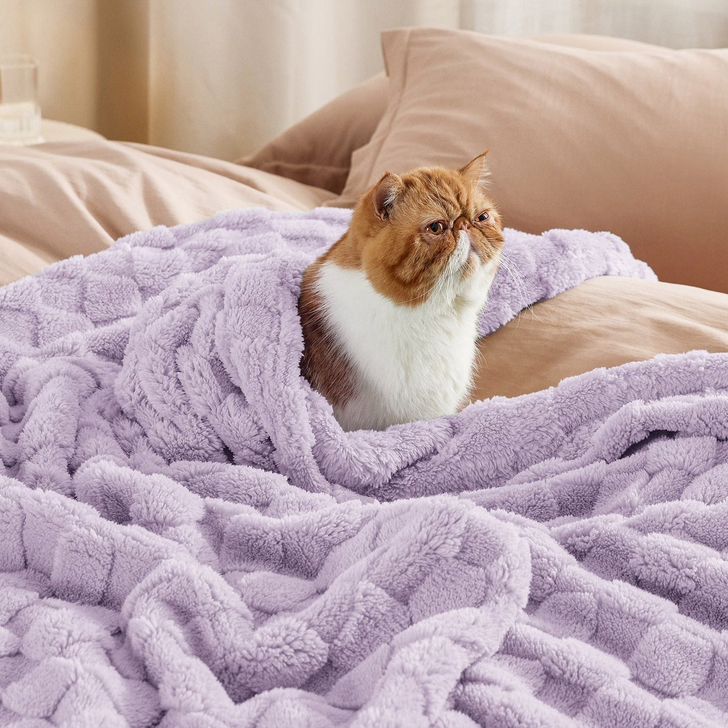 Jacquard Shaggy Sherpa Blanket