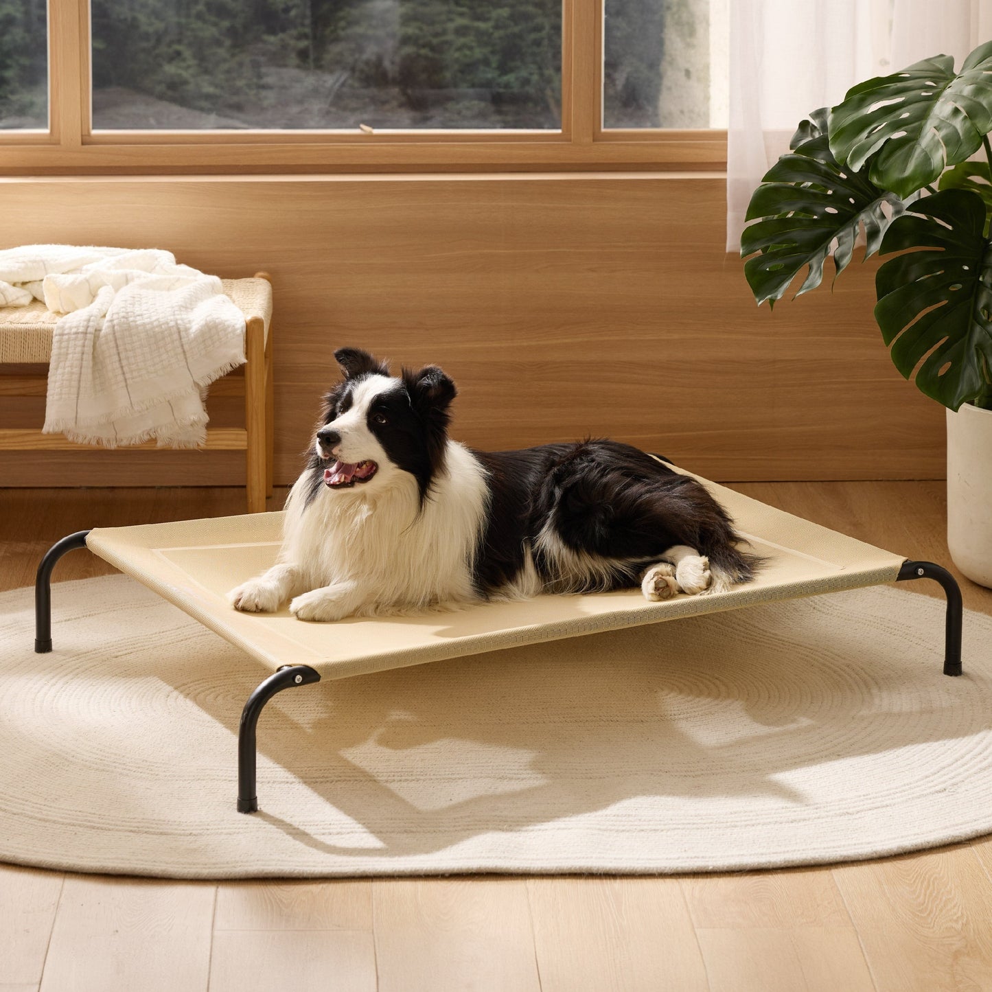 Elevated Dog Bed