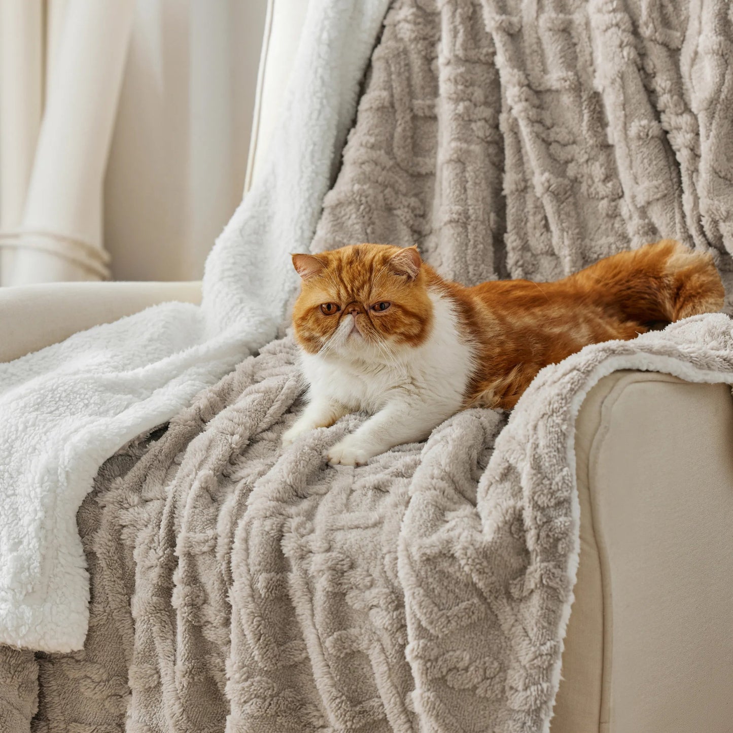 Sherpa Throw Blanket For Couch