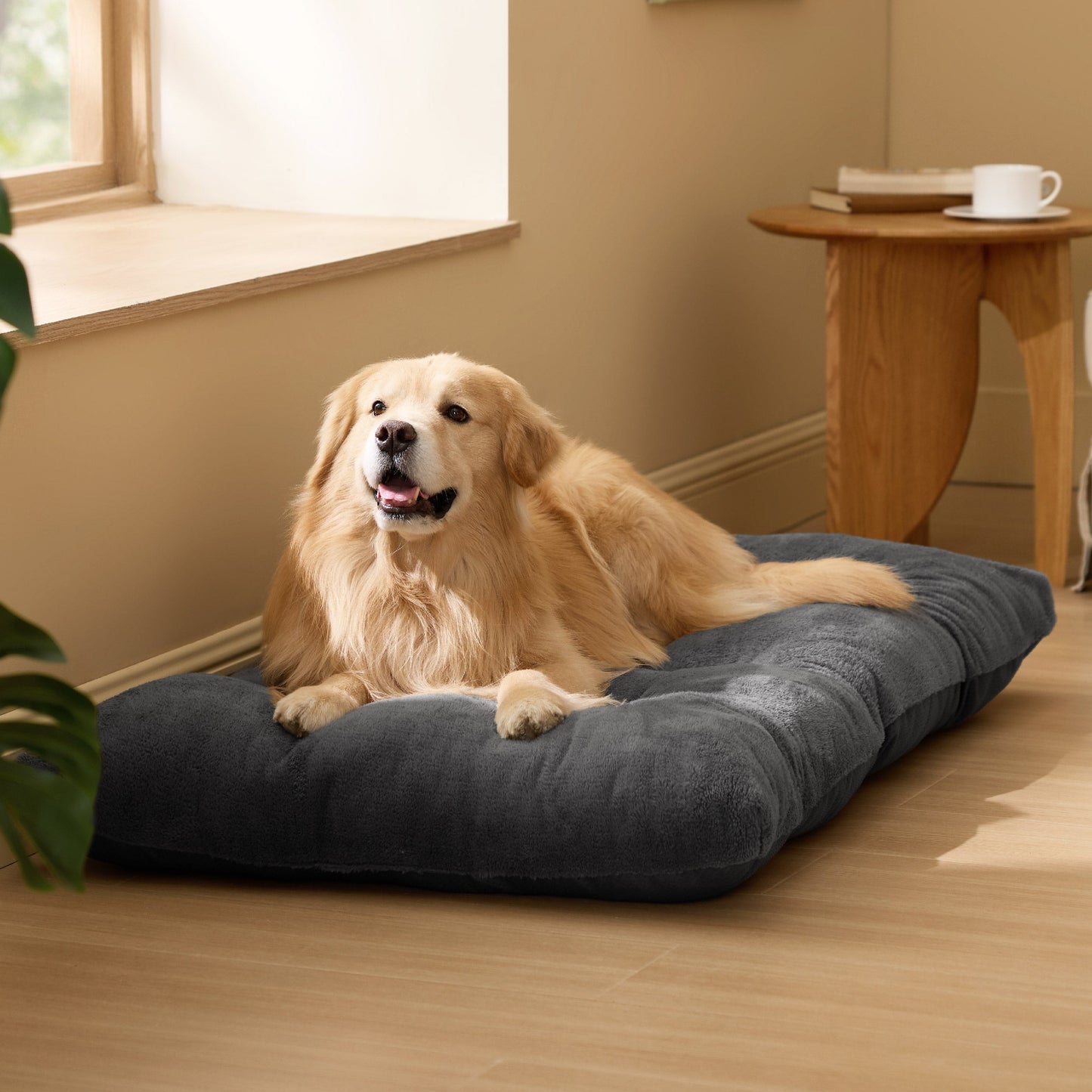 Fluffy Dog Mat