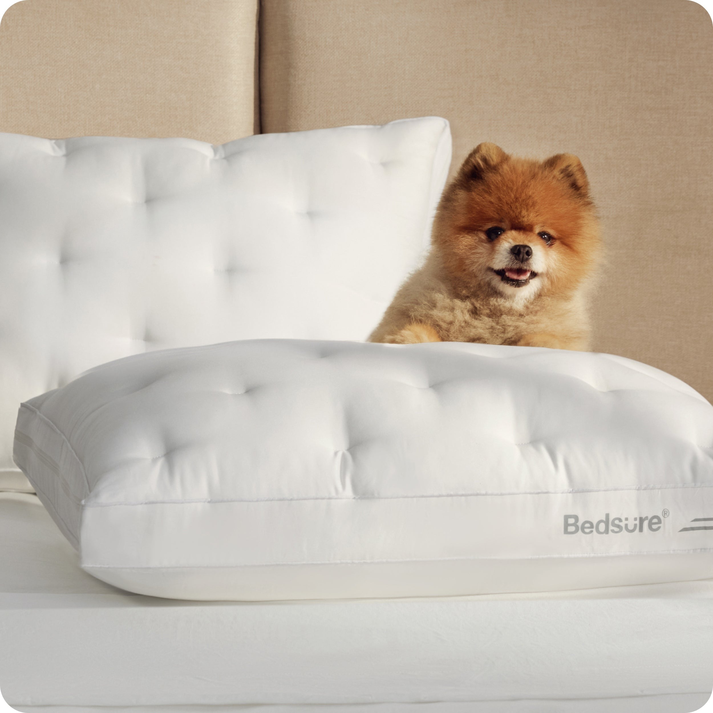Side Sleeper Adjustable Pillow