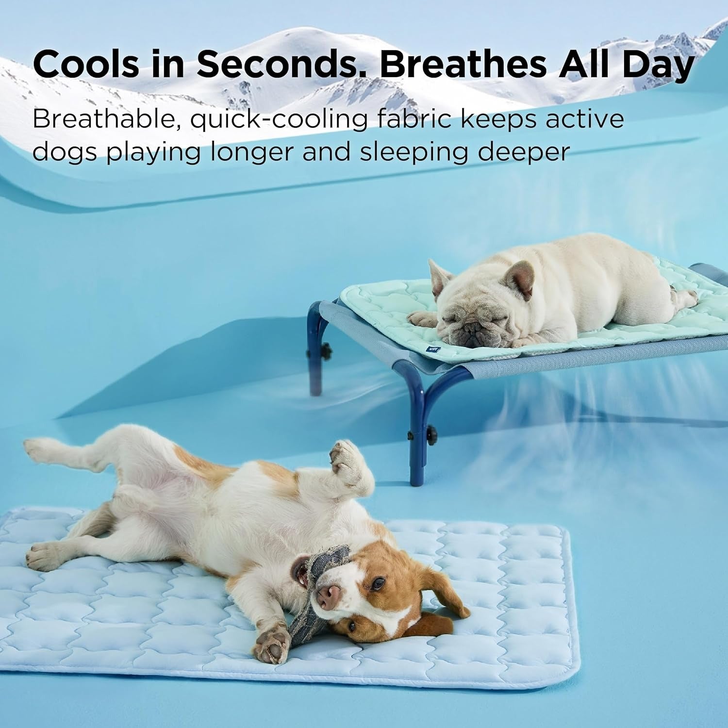 Cooling Dog Mat