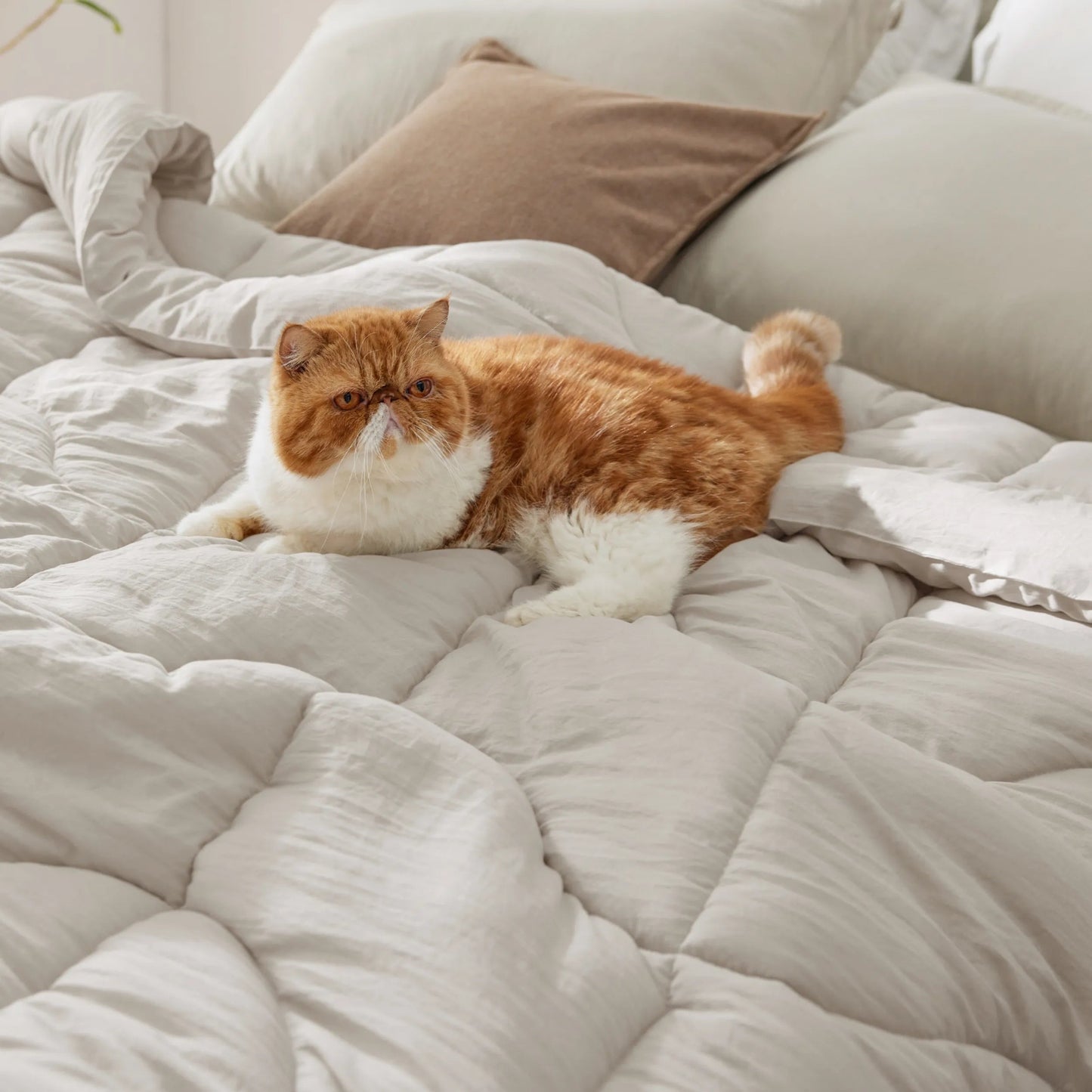 Prewashed Quilted Comforter