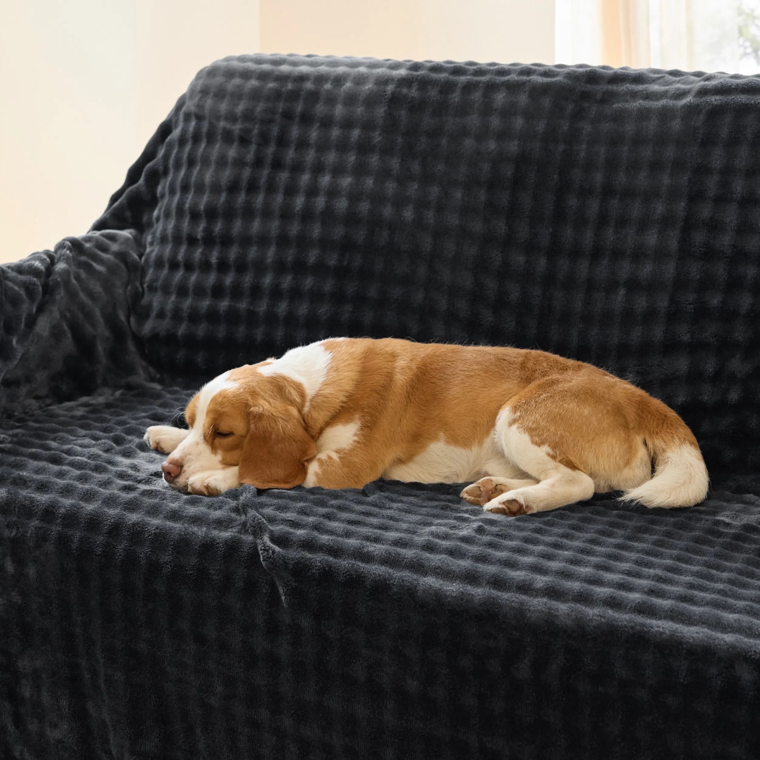 Bubble Waterproof Blanket
