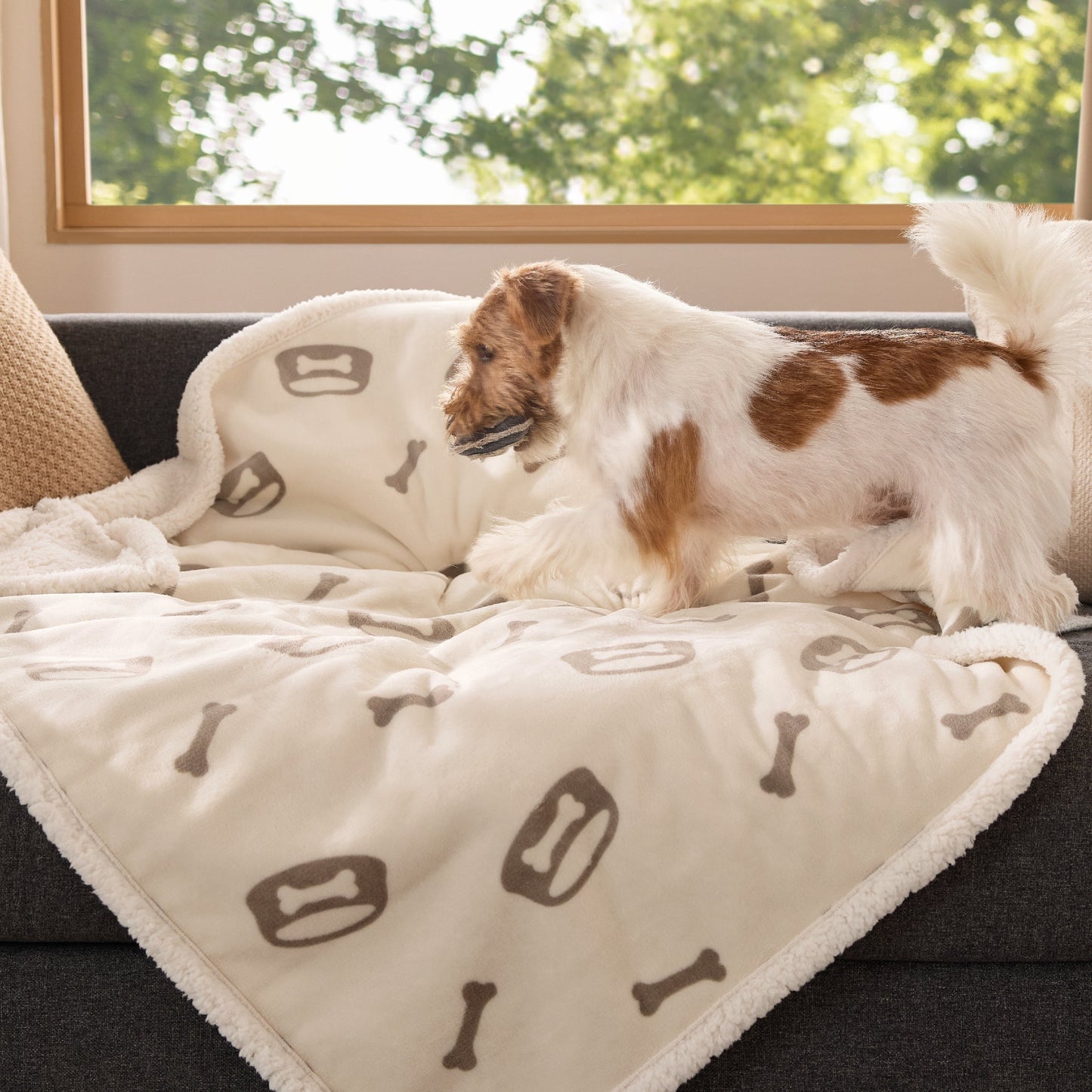Reversible Waterproof Sherapa Blanket