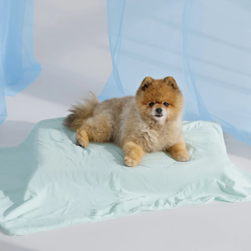 Cooling & Breathable Lightweight Pet Blanket