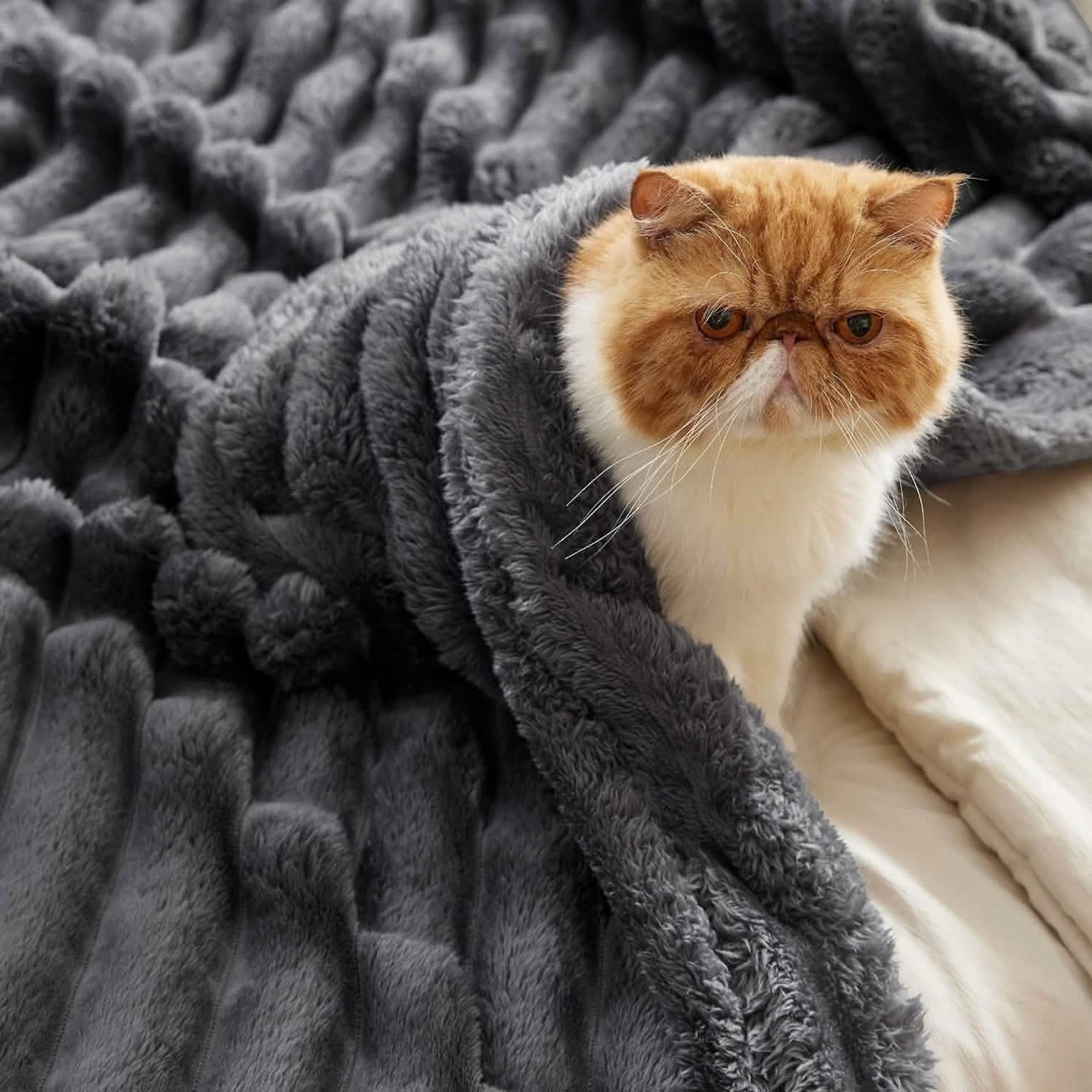 Luxplush Striped Blanket