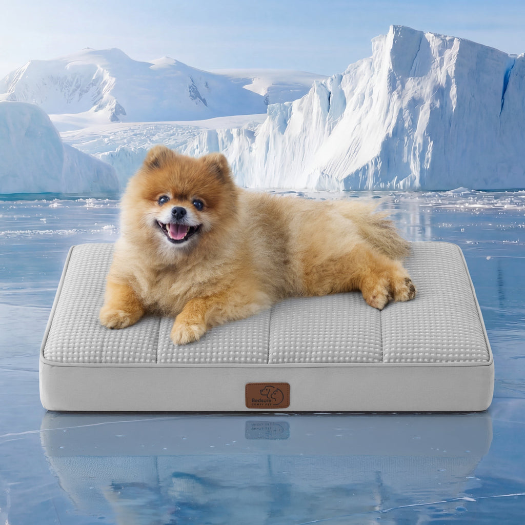 Orthopedic Cooling Dog Bed