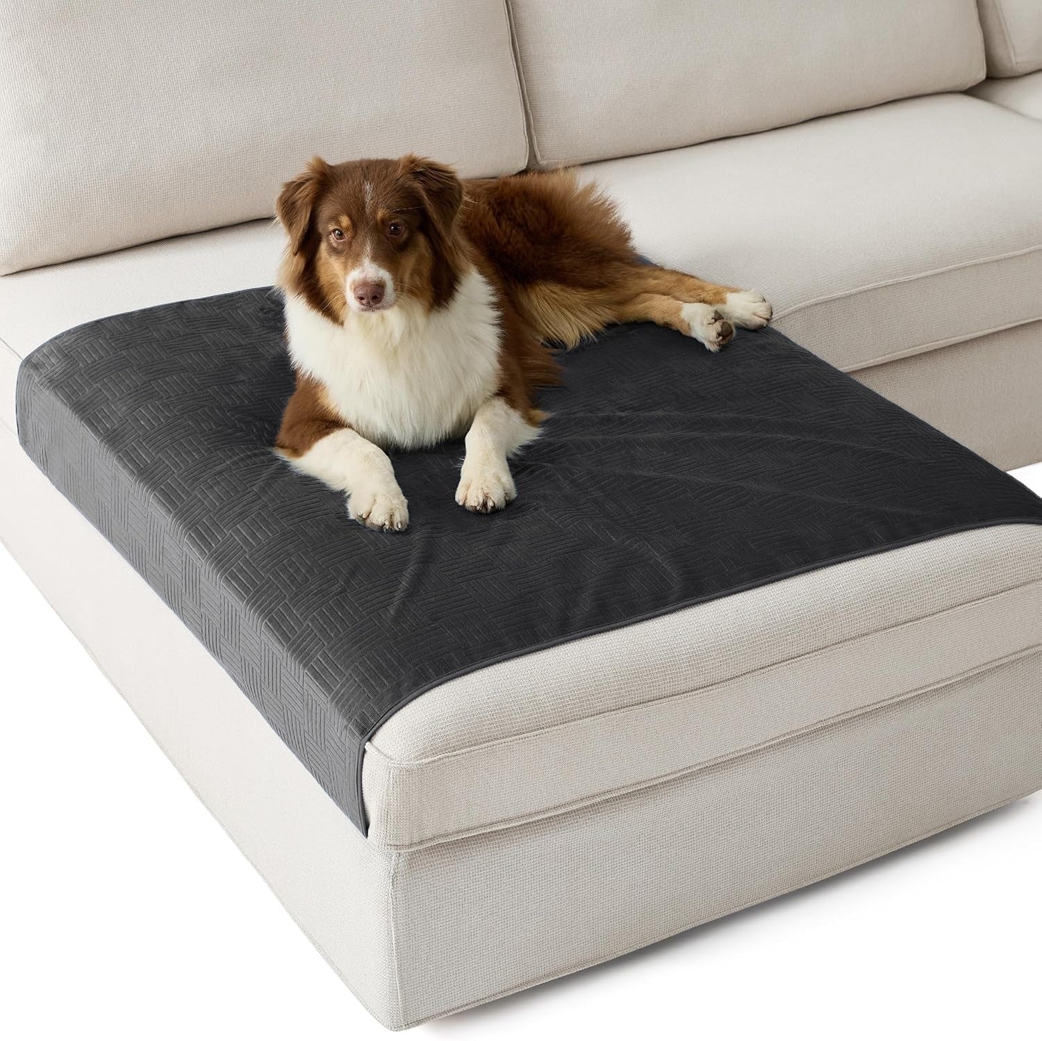 Lightweight Pet Couch Cover